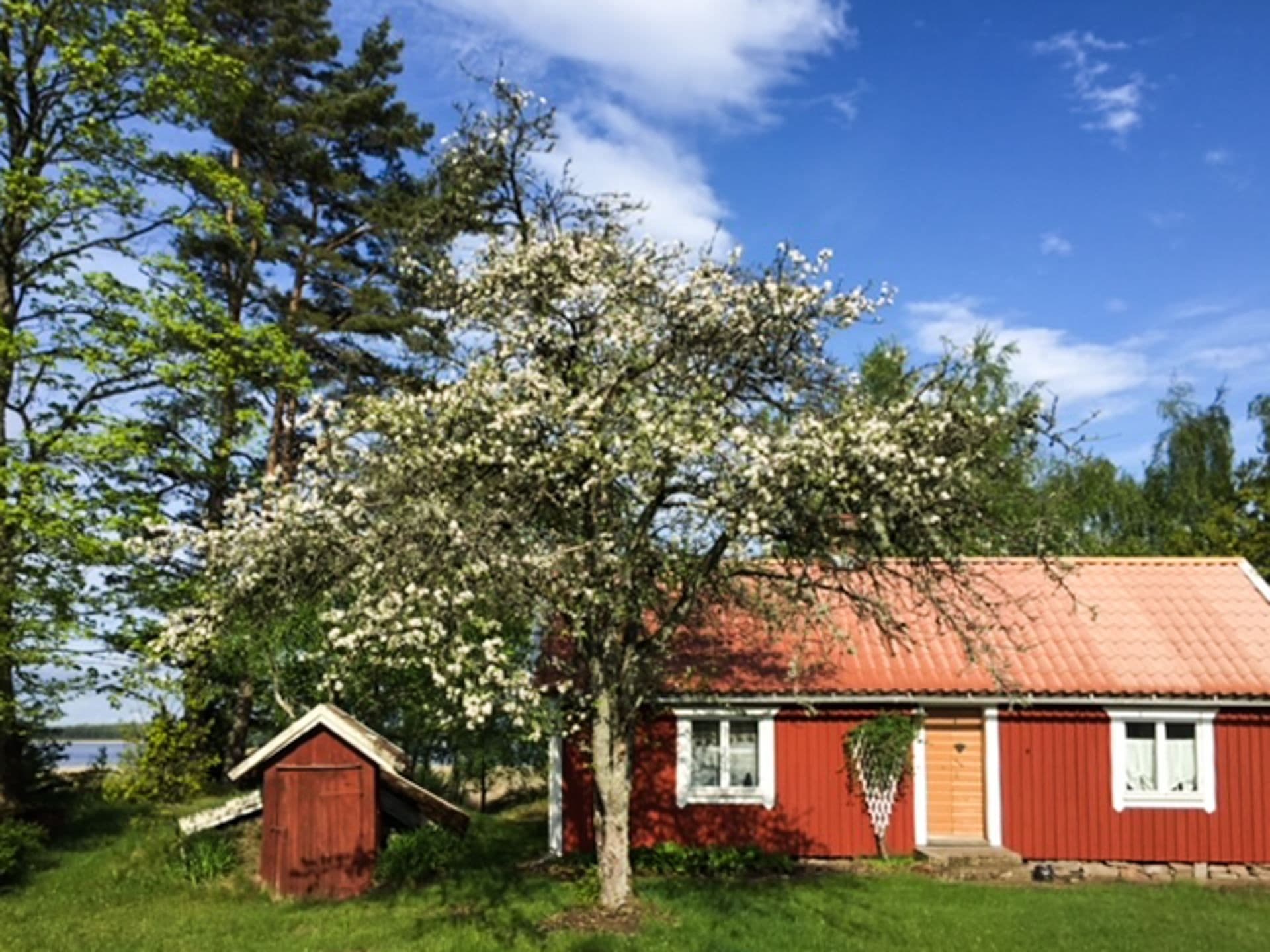 Säljarens egna bild