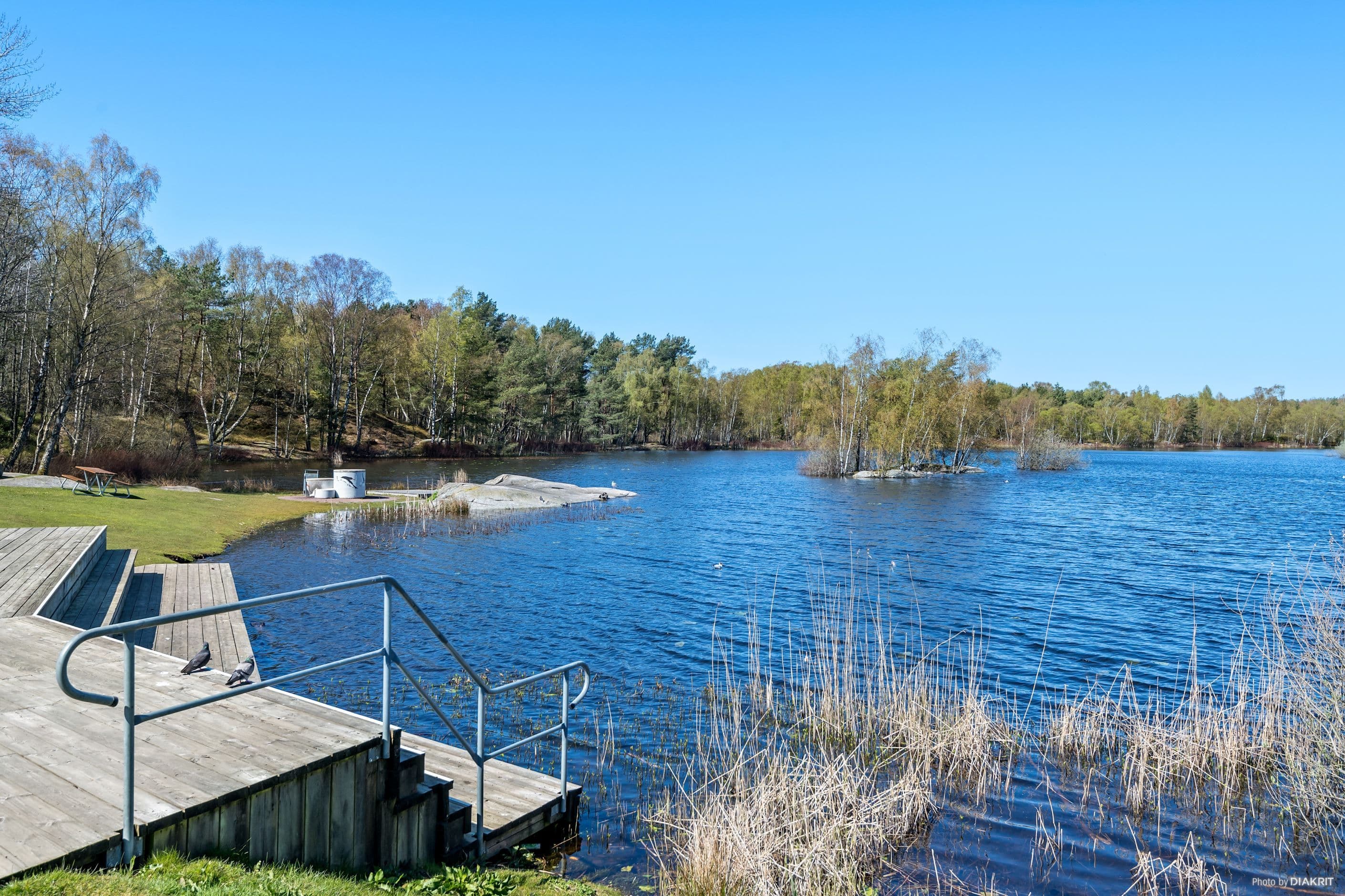 Omgivningen