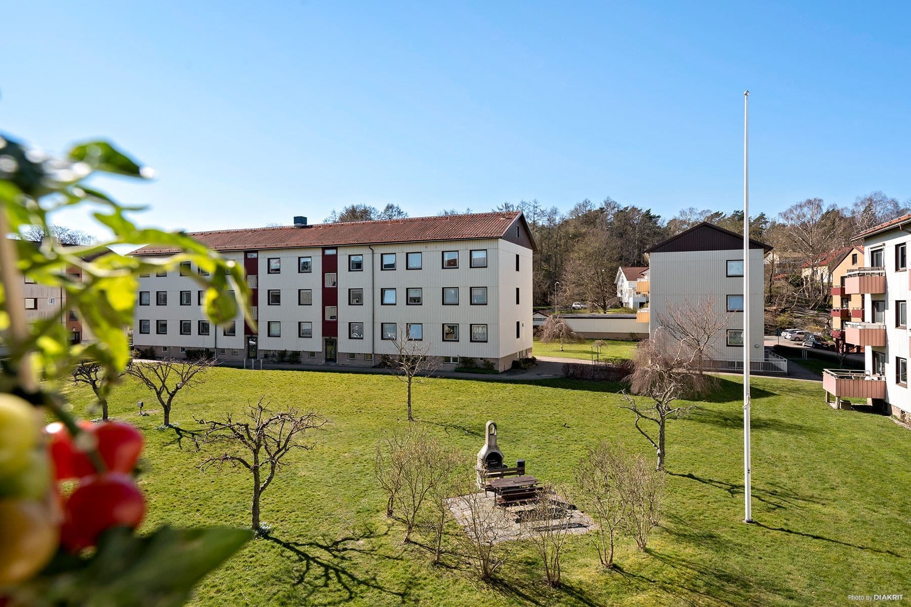 Innegård med grillplats och träd