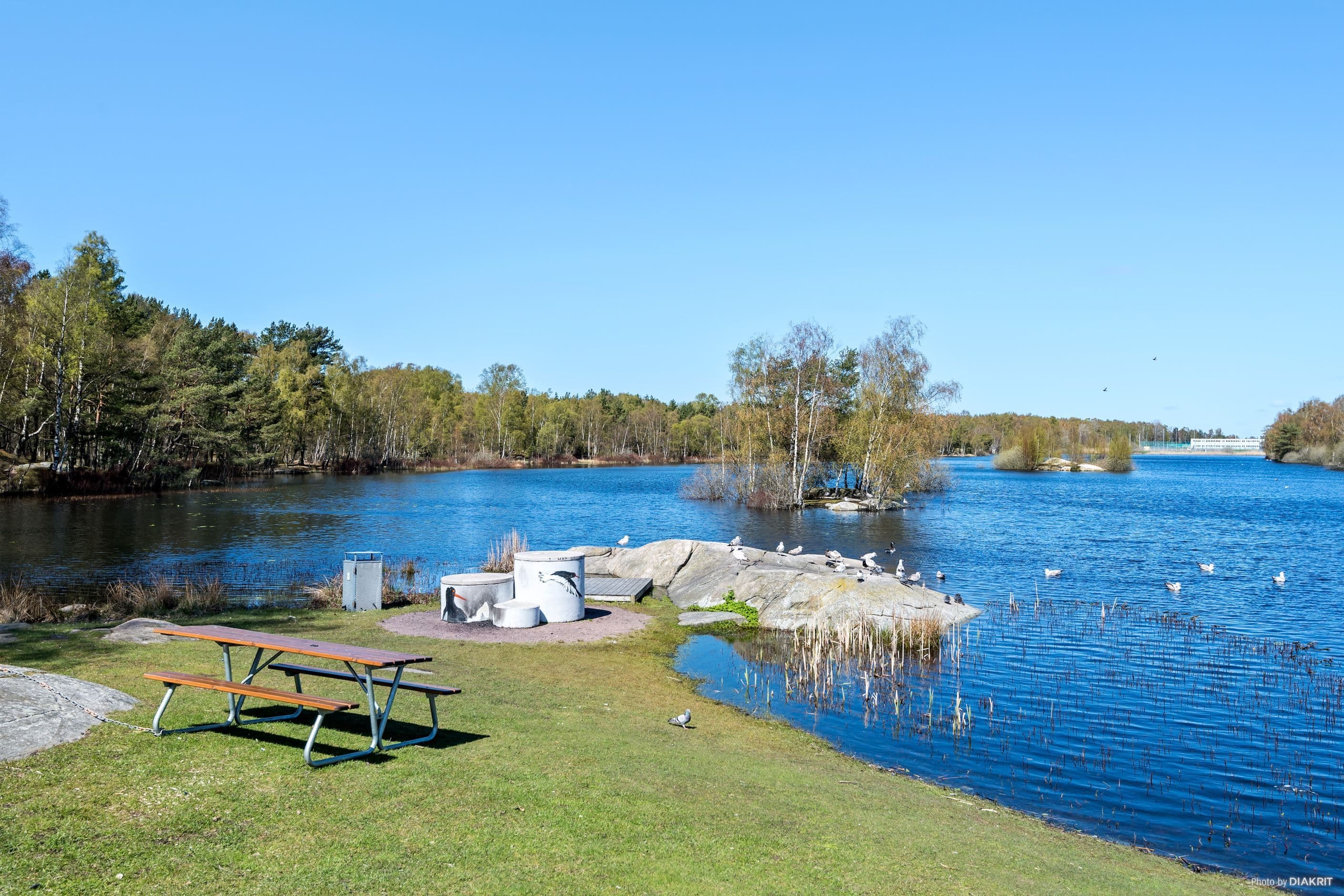 Omgivningen