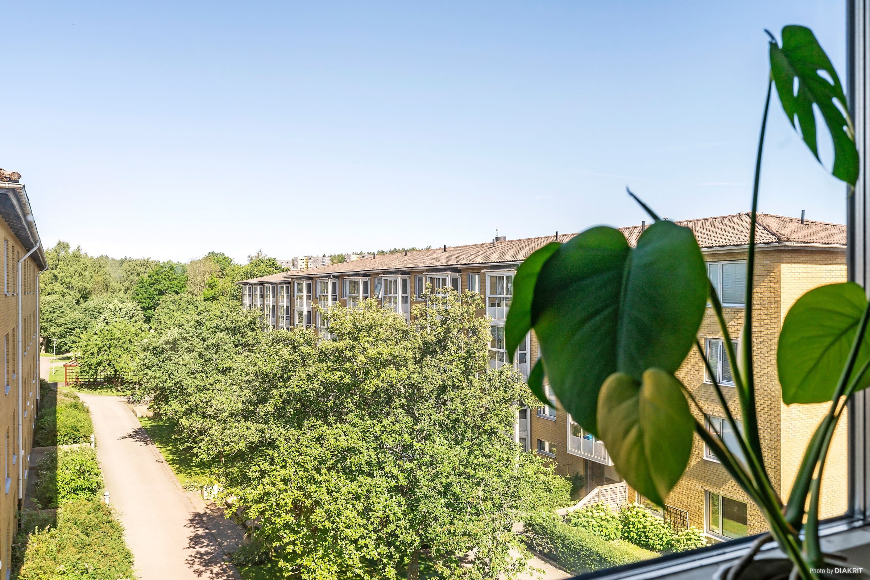 Utsikt in över området från köket