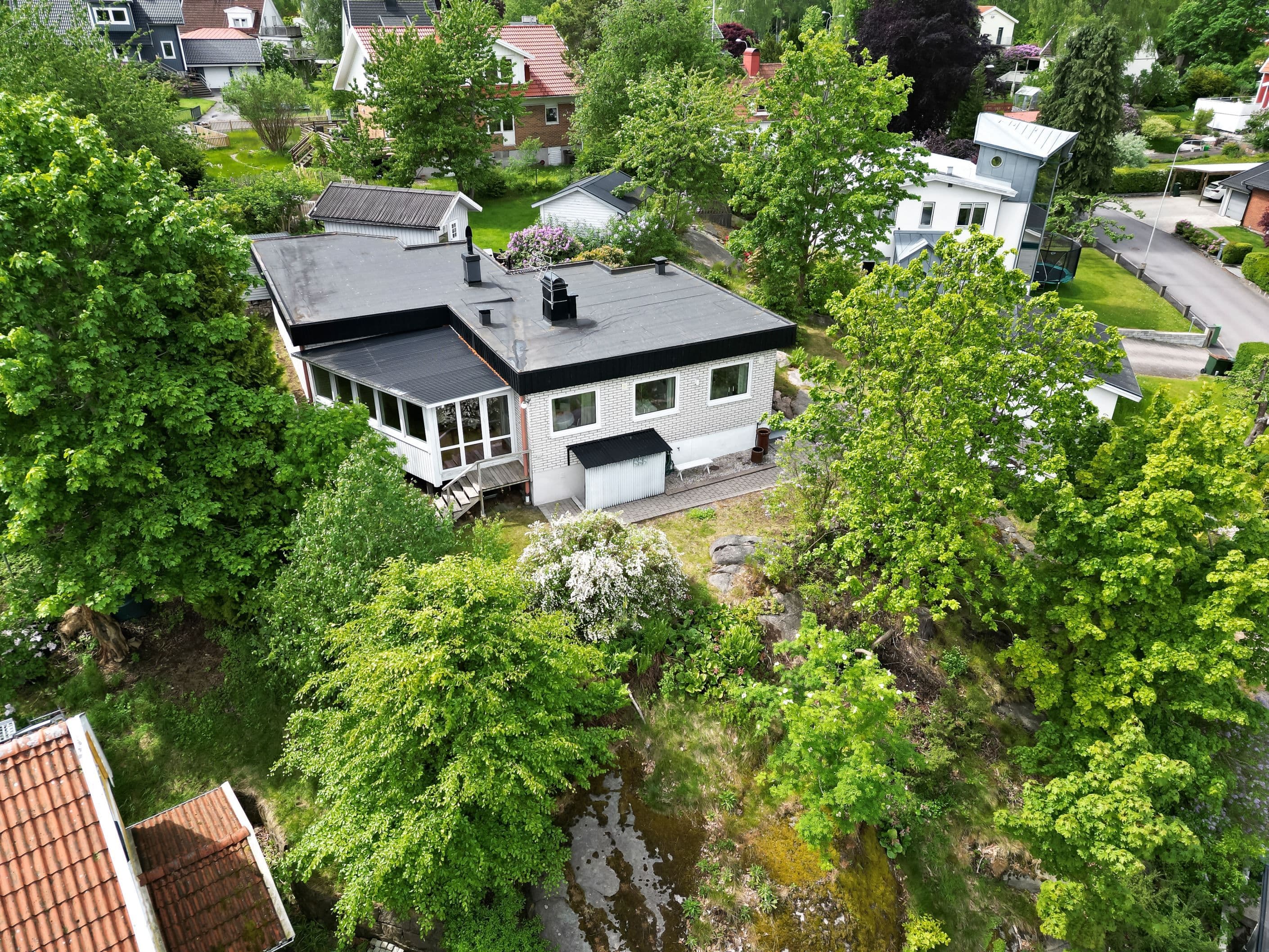 Omgivningen