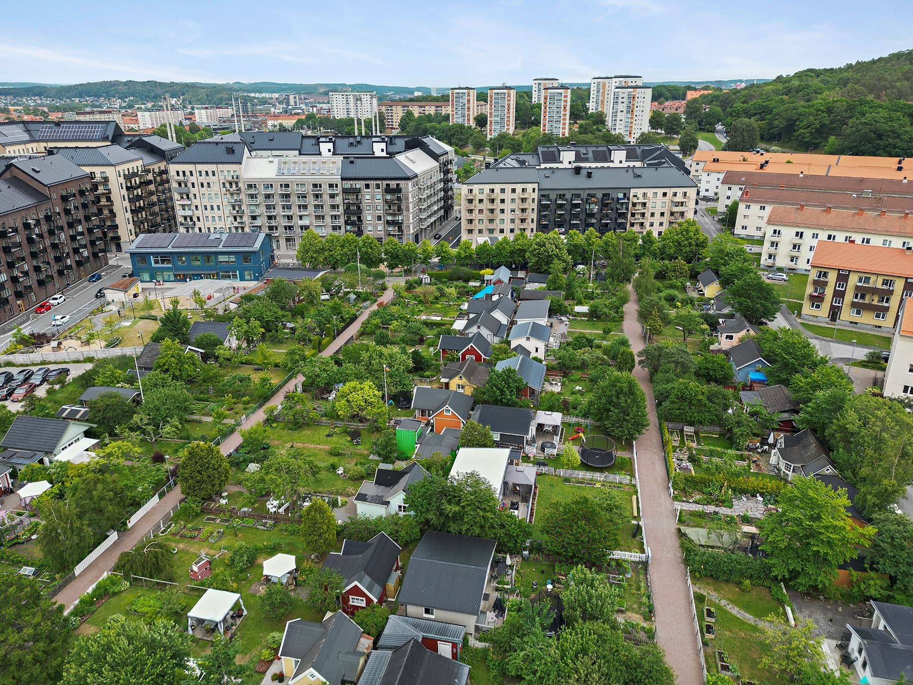Kolonistugorna