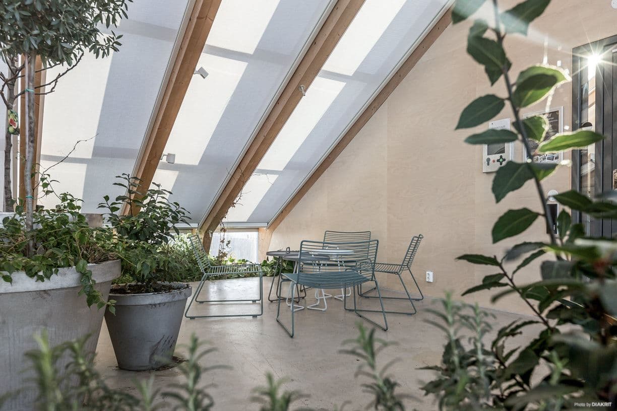 Skönt att umgås året om i "växthuset"