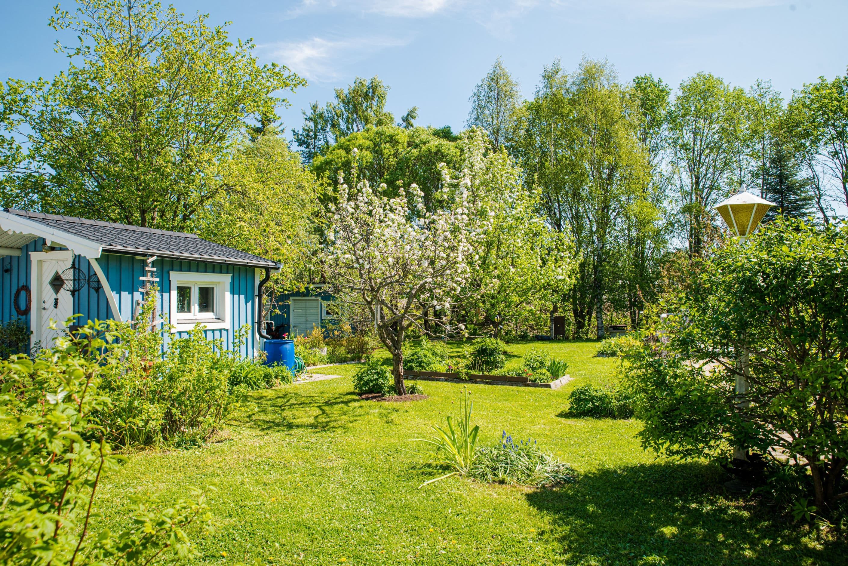 Exteriör