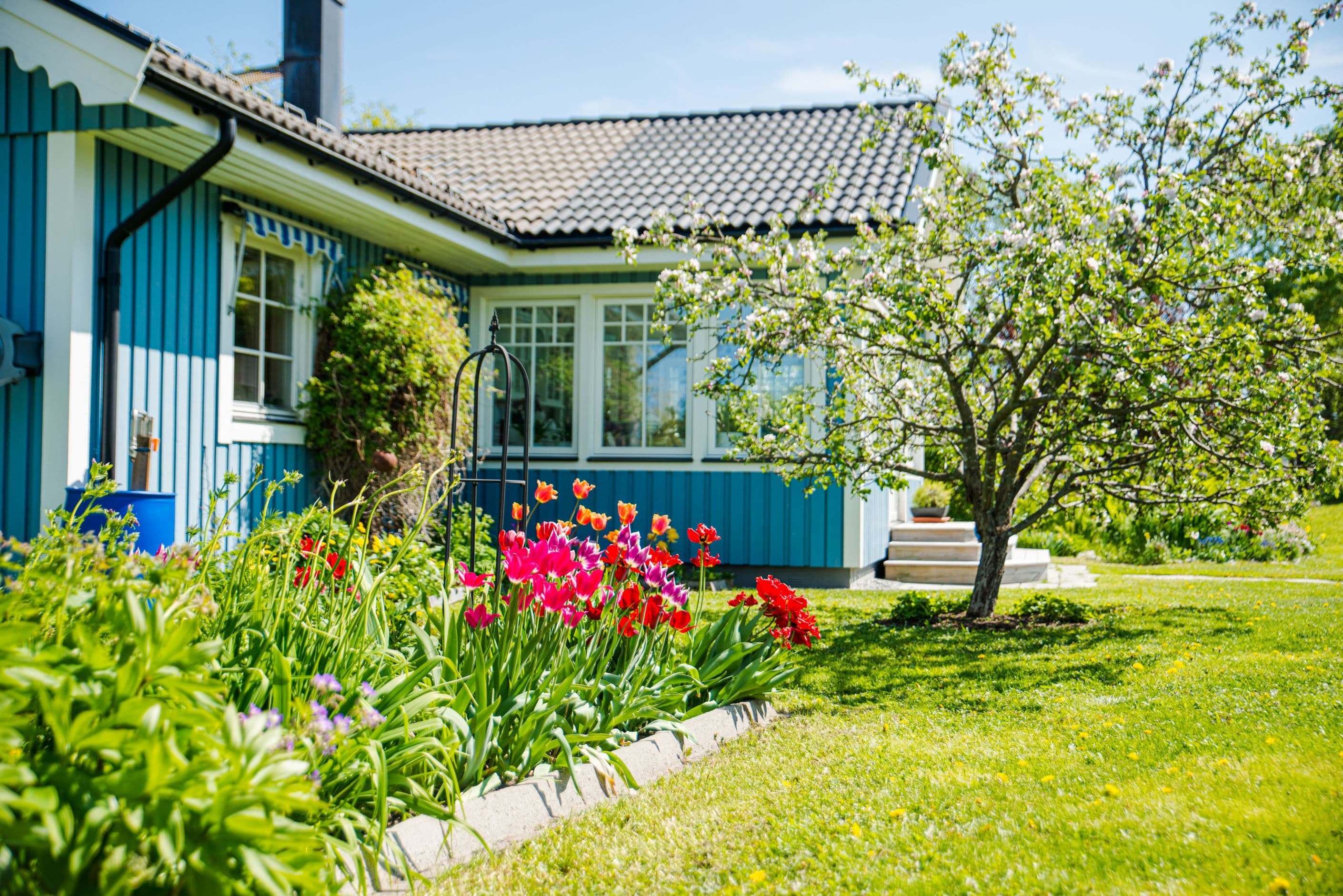 Exteriör