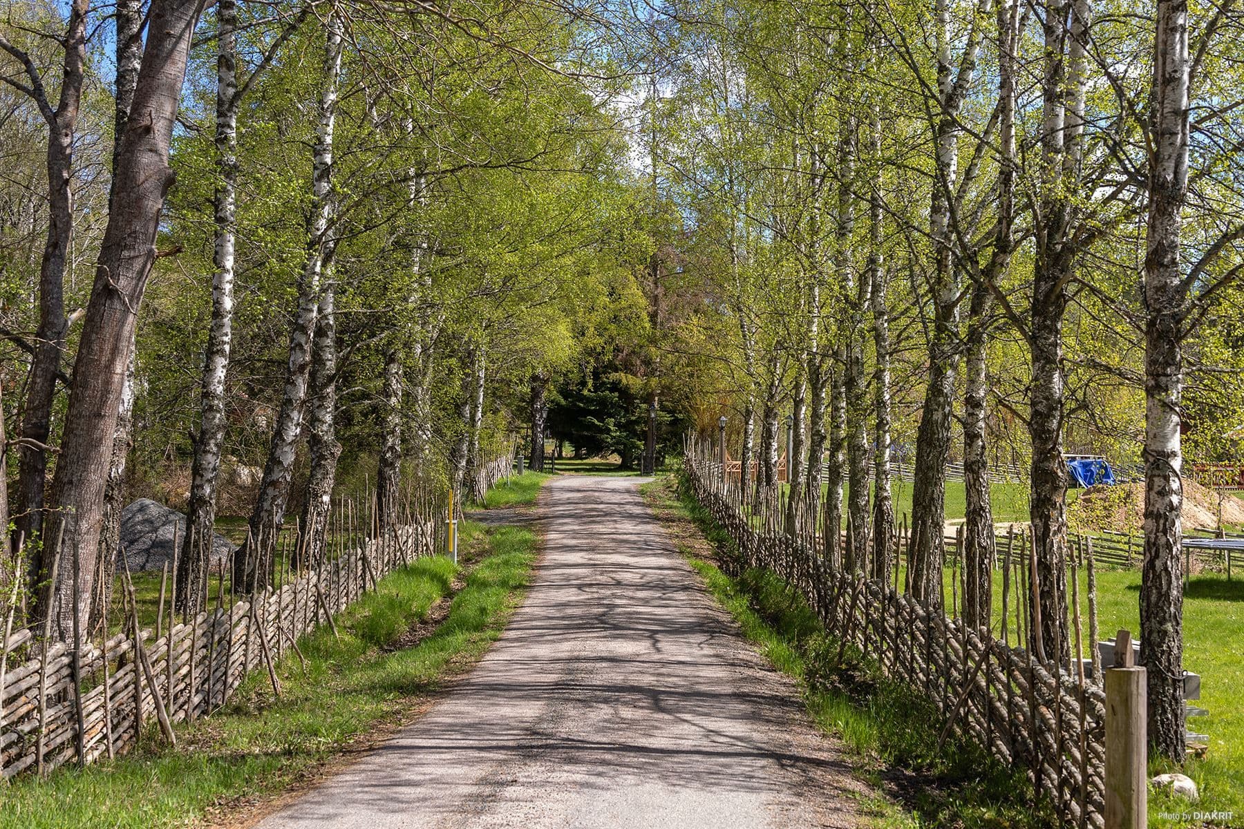Vägen utmed tomten