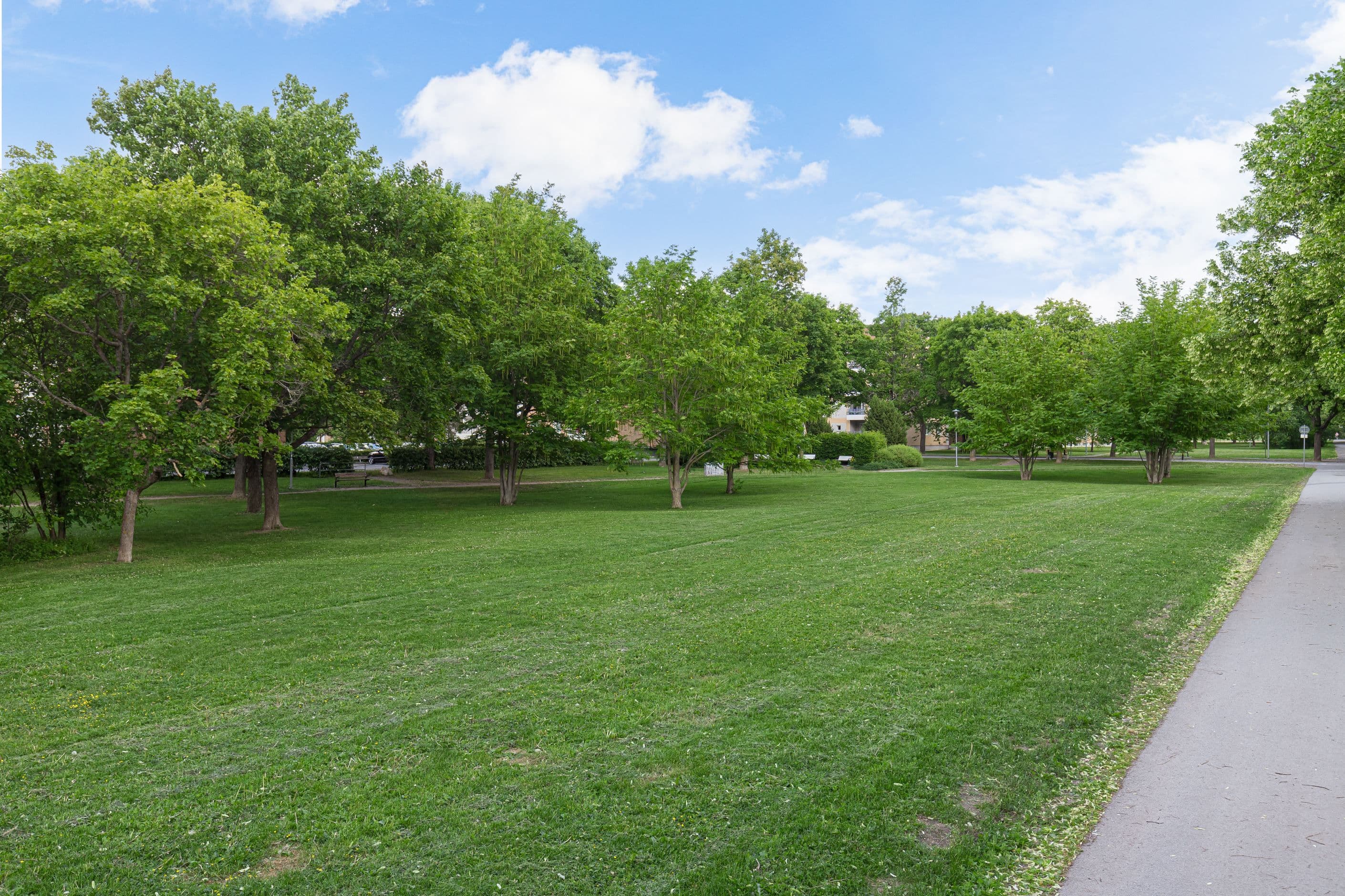 Byggmästarparken