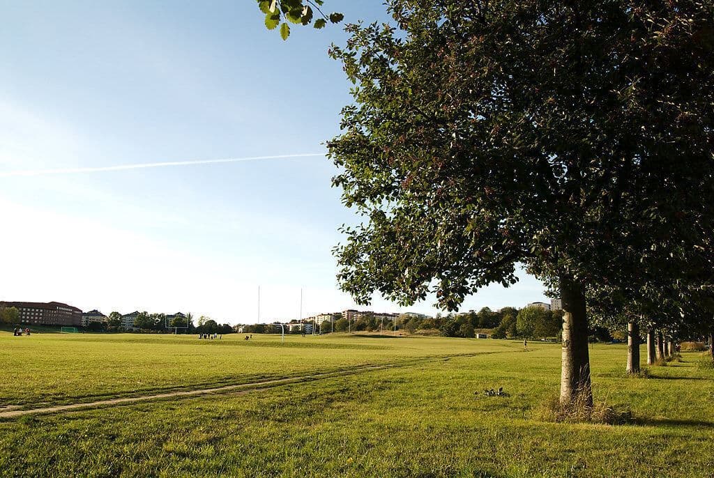 Sportfältet