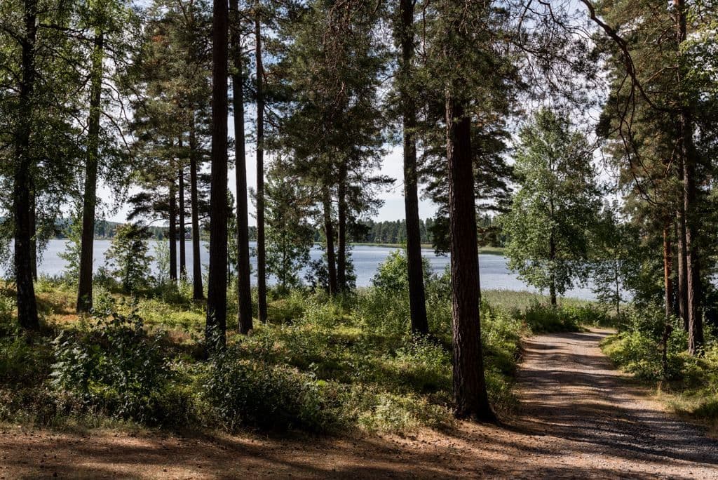 Med fina promenadstråk längs med Hjortsjön runt knuten