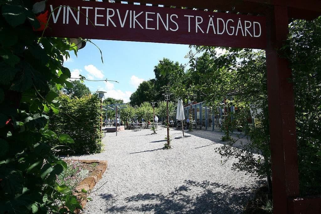 Vintervikens trädgård