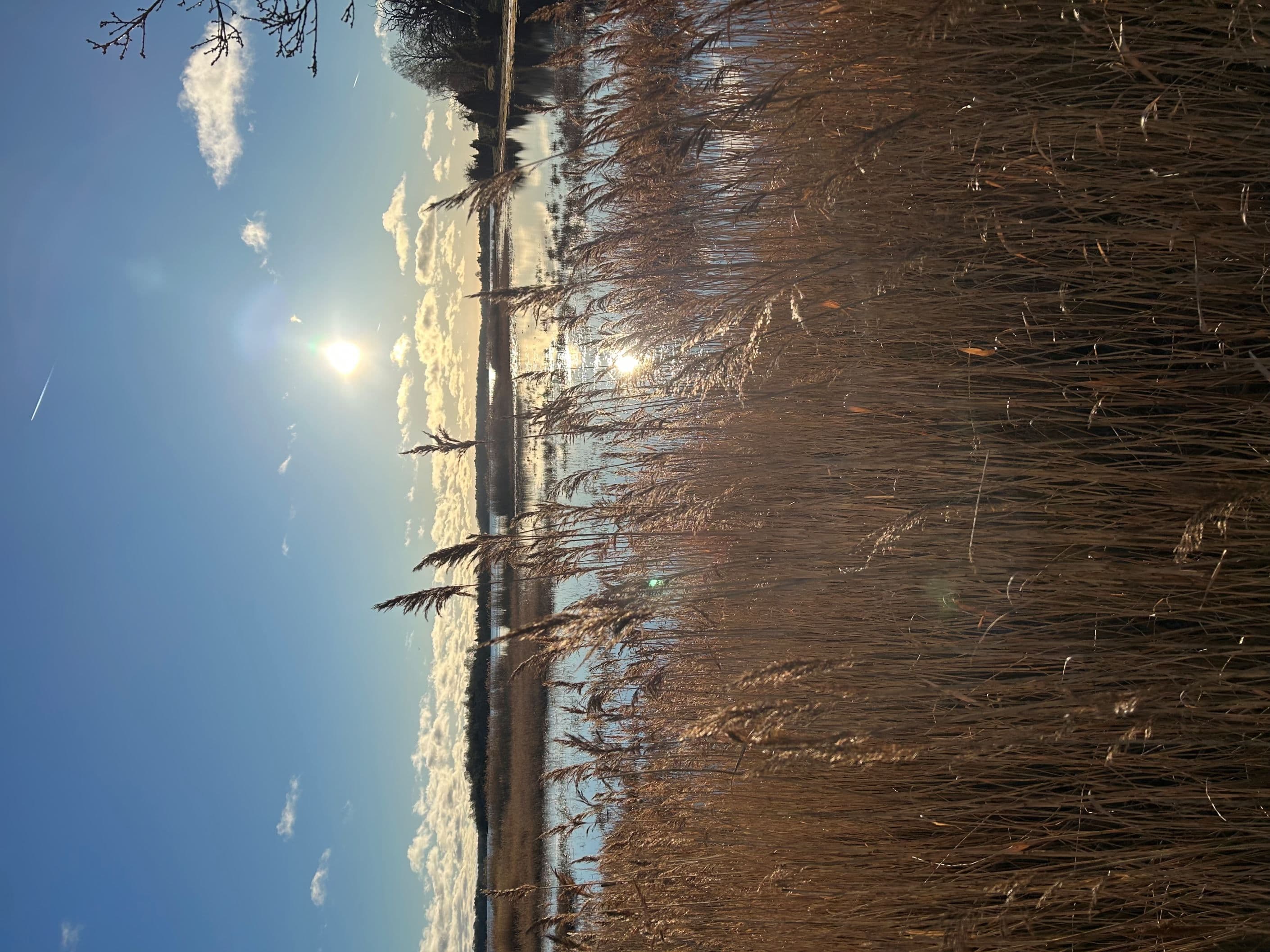 Säljarens omgivningsbilder