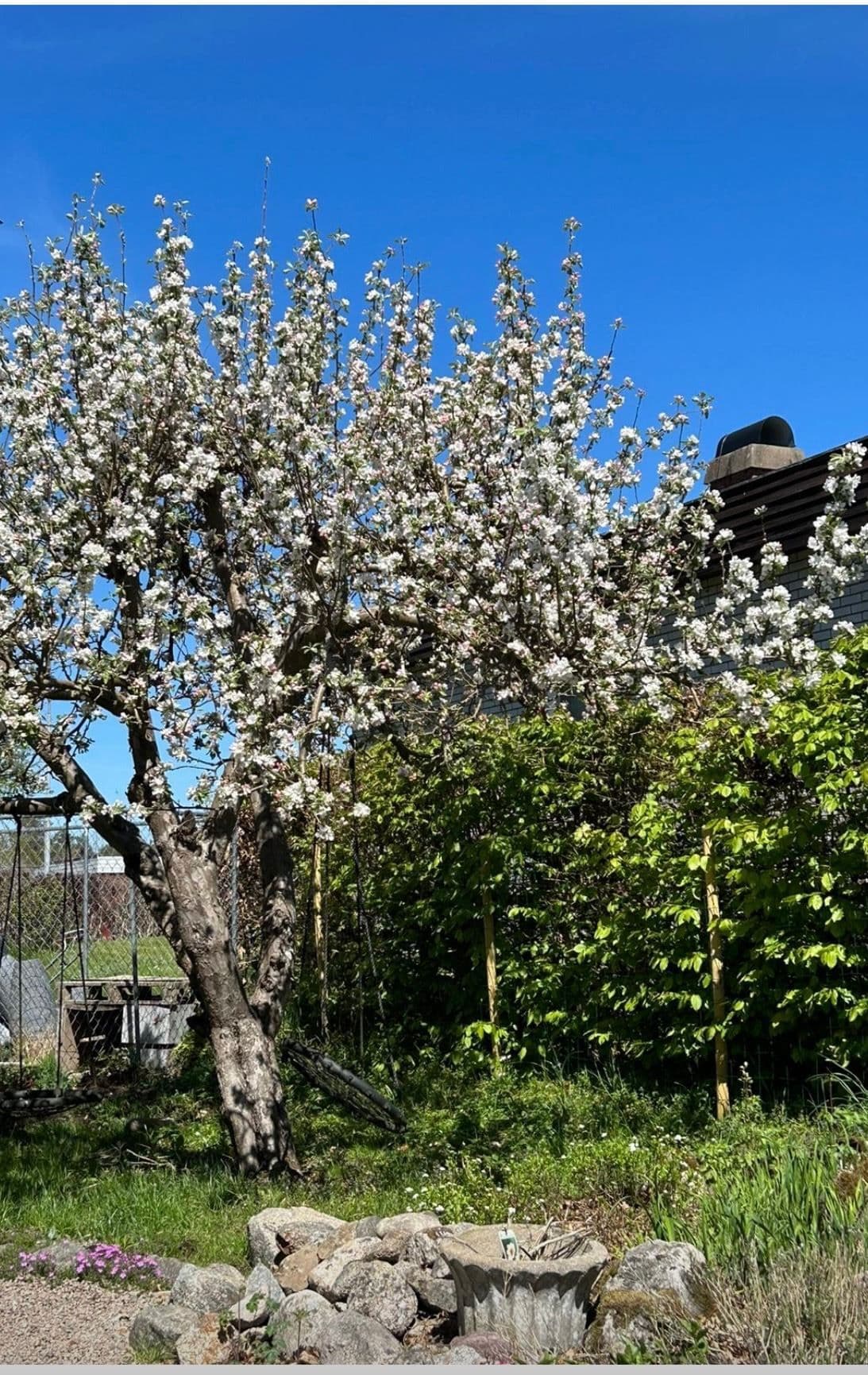 Säljarens egna bild
