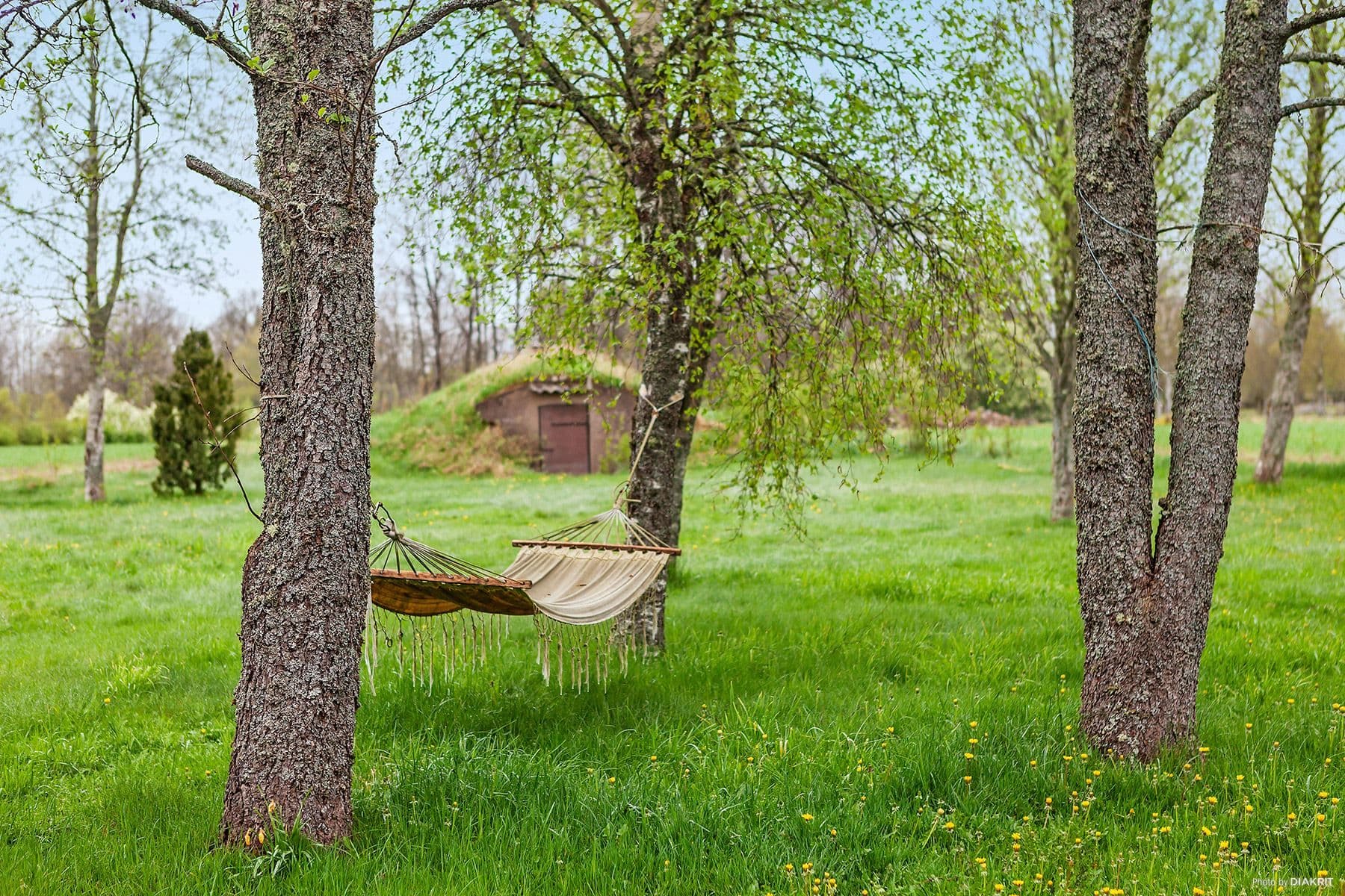 Härlig utemiljö