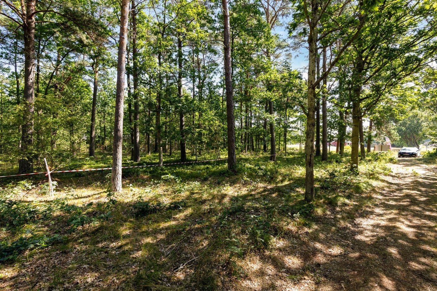 Björkenäs 1:45