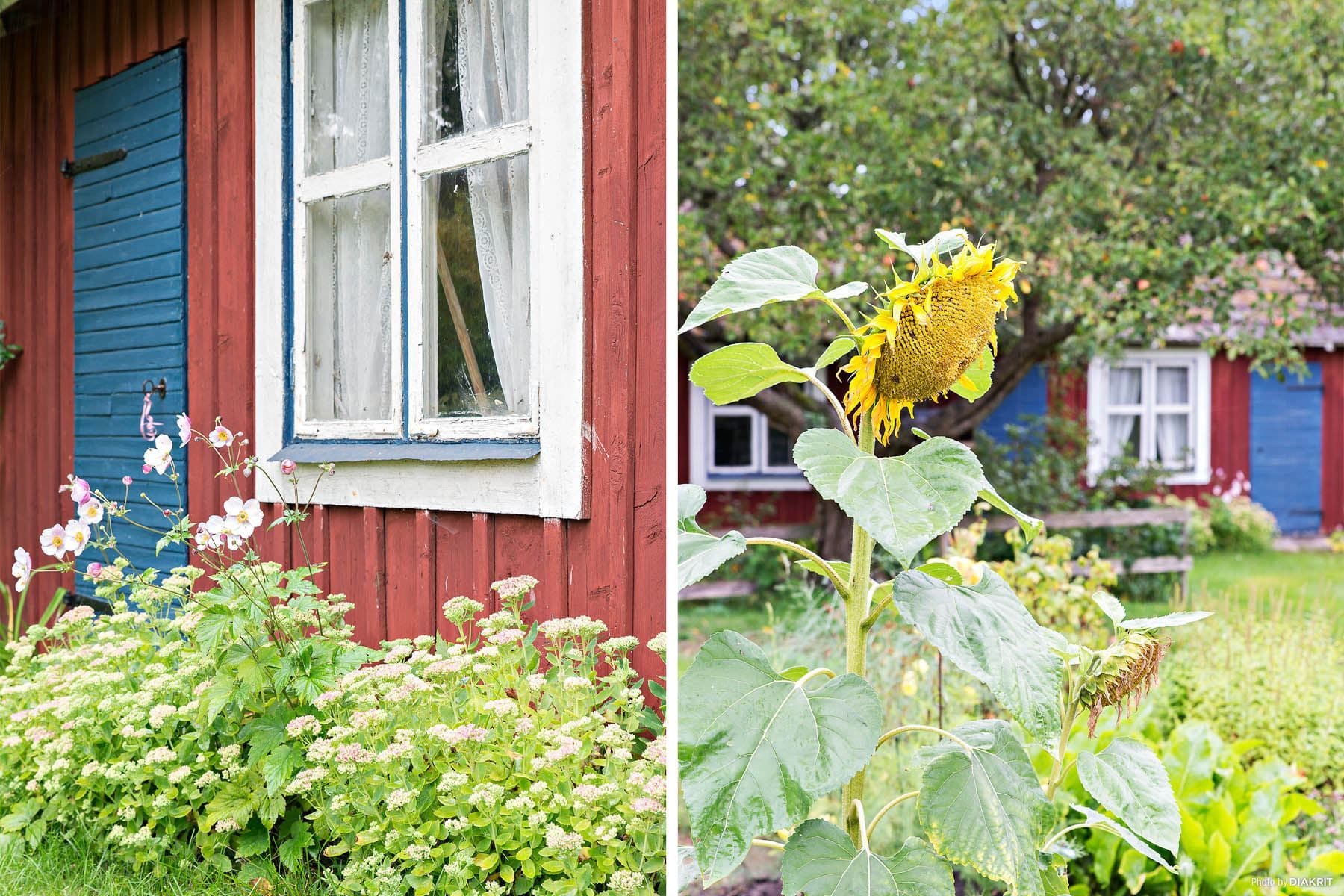 Detaljbild