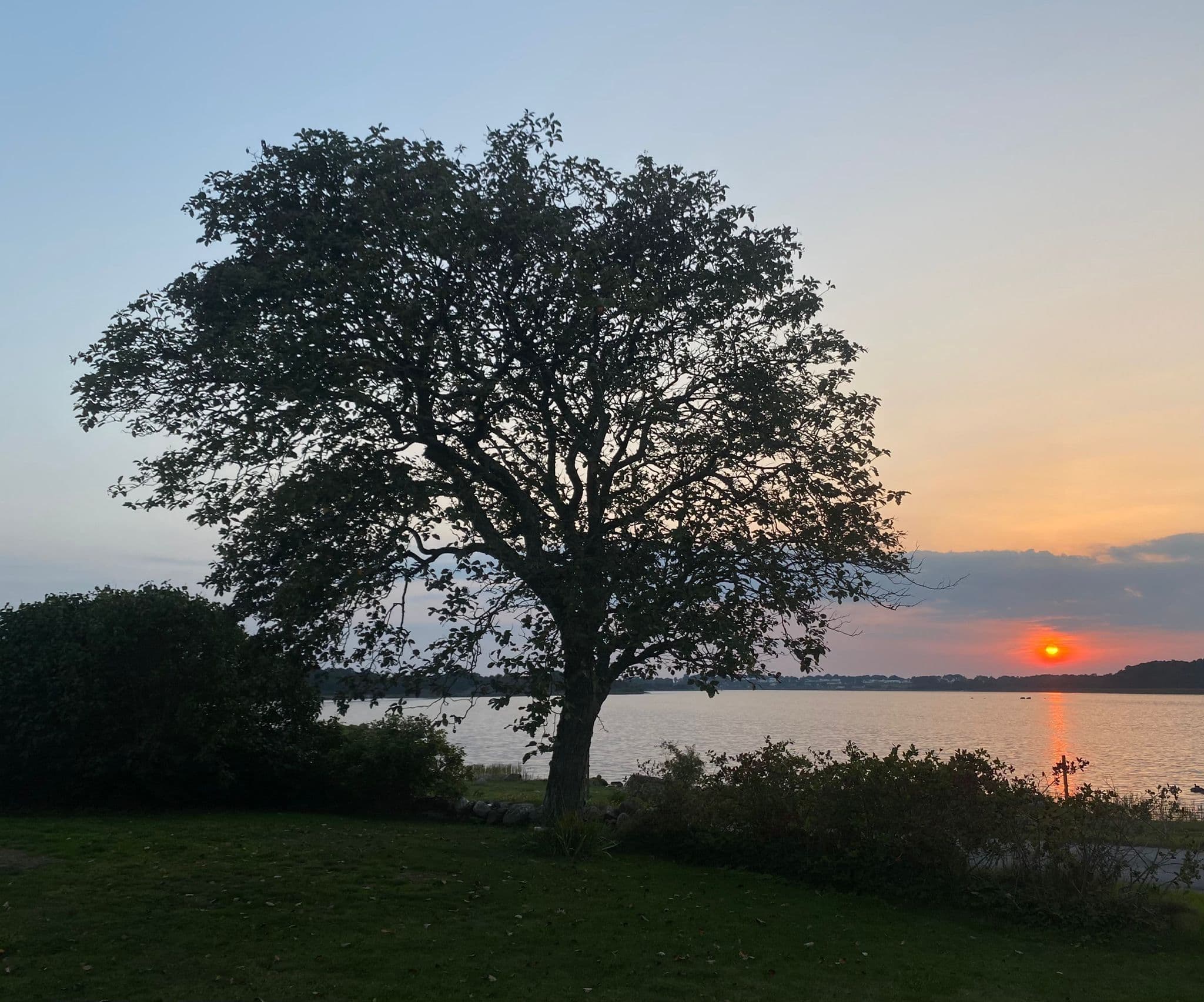 Säljarens egna bilder