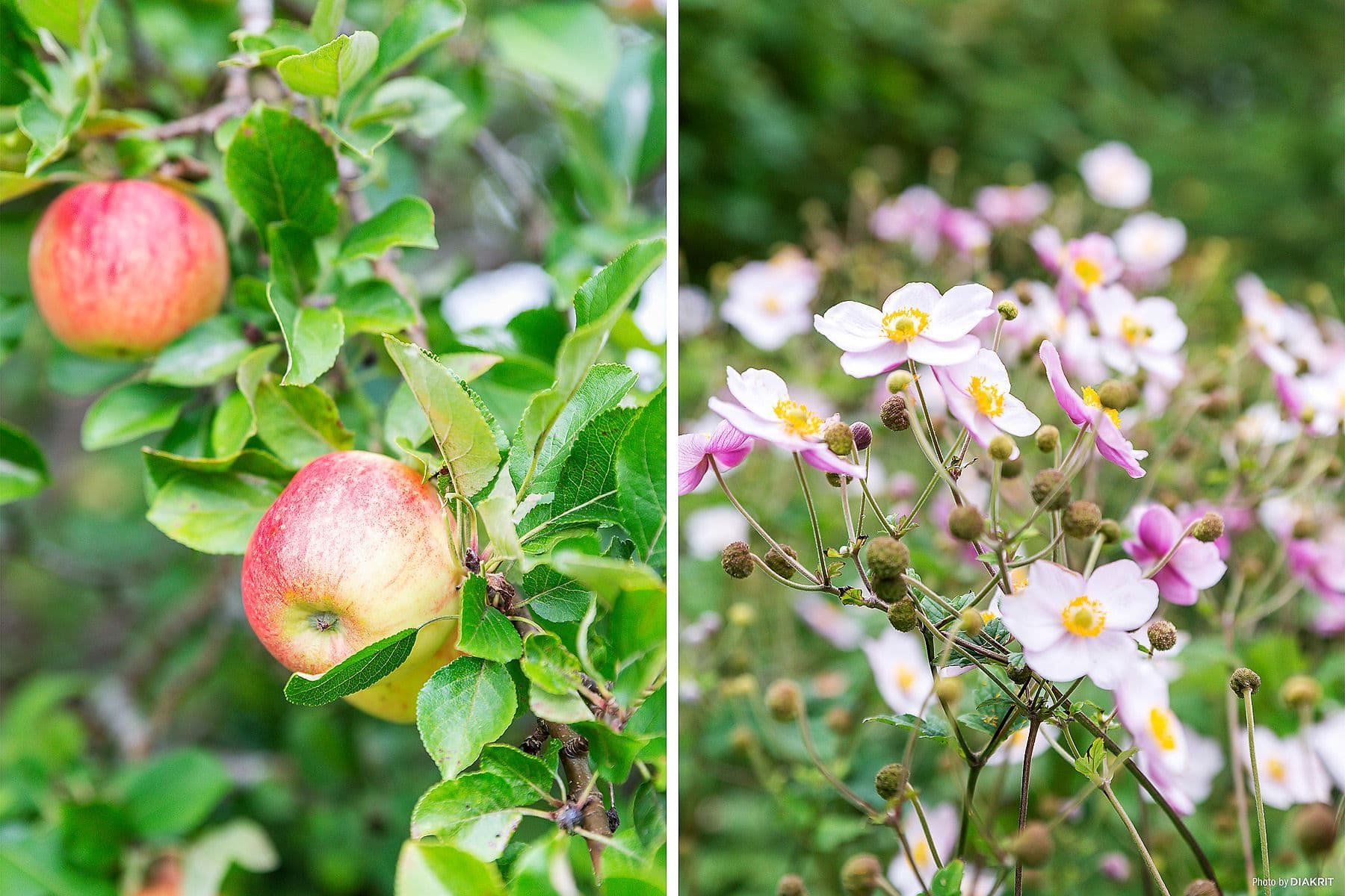 Detaljbild