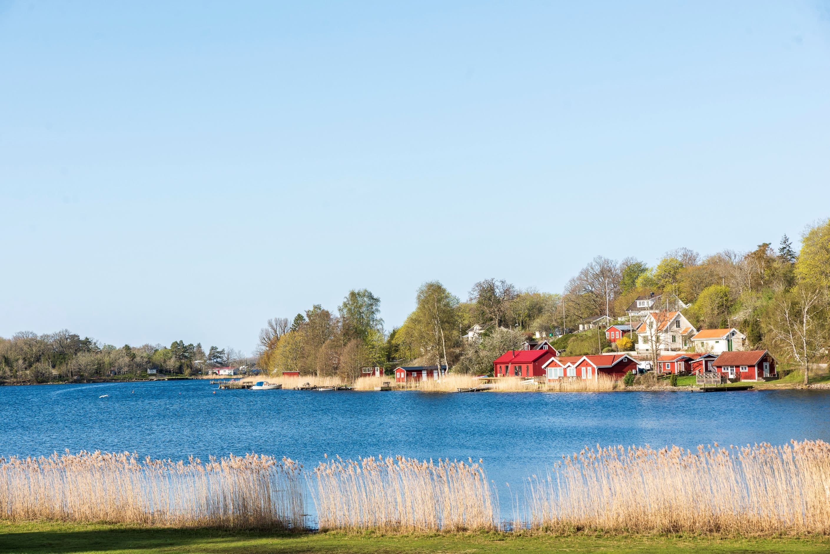 Närområdet