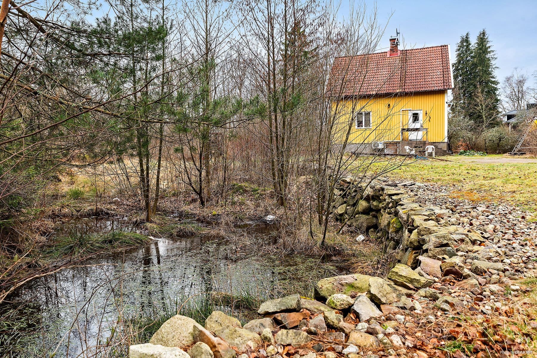 Trädgård