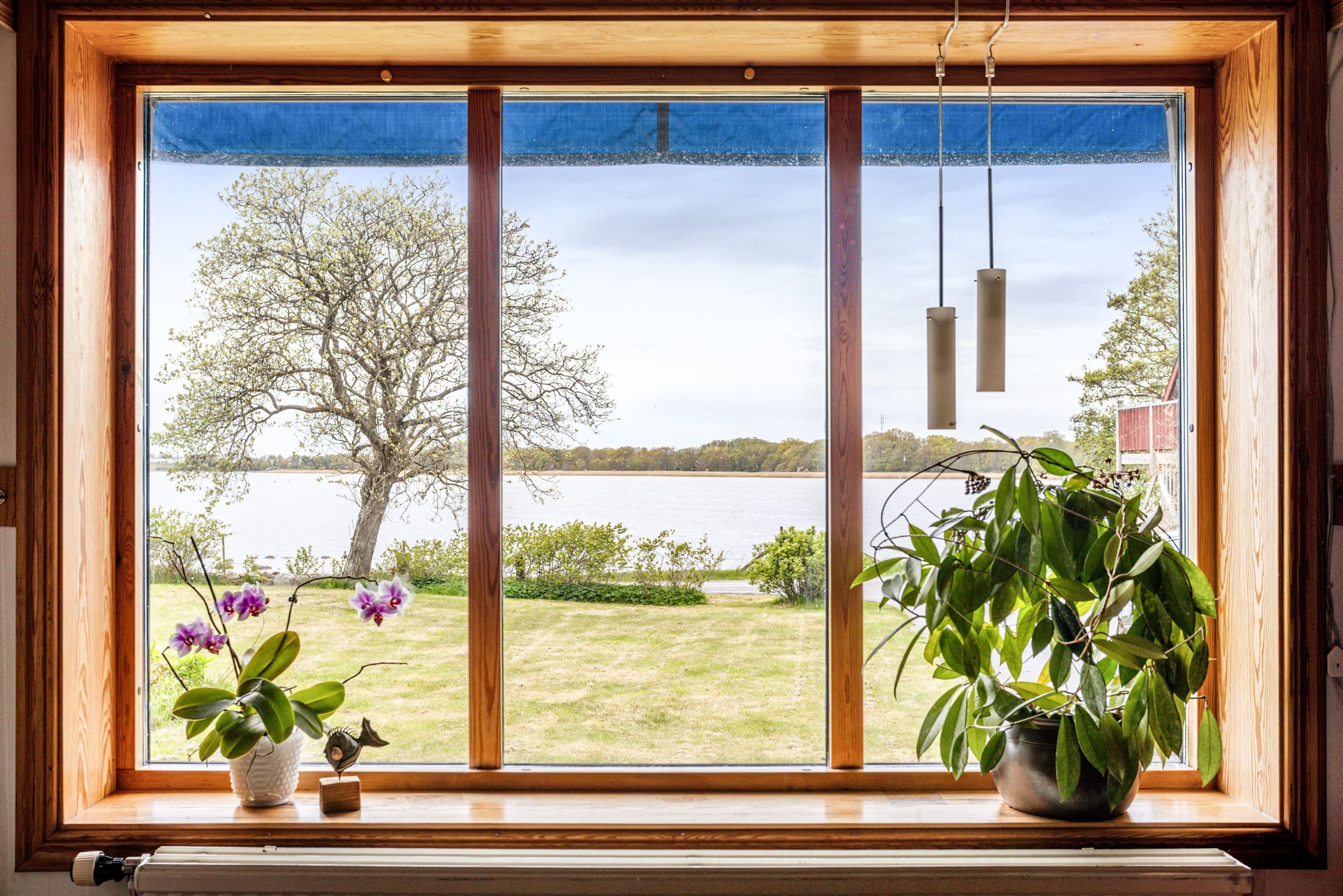 Detaljbild mot havet