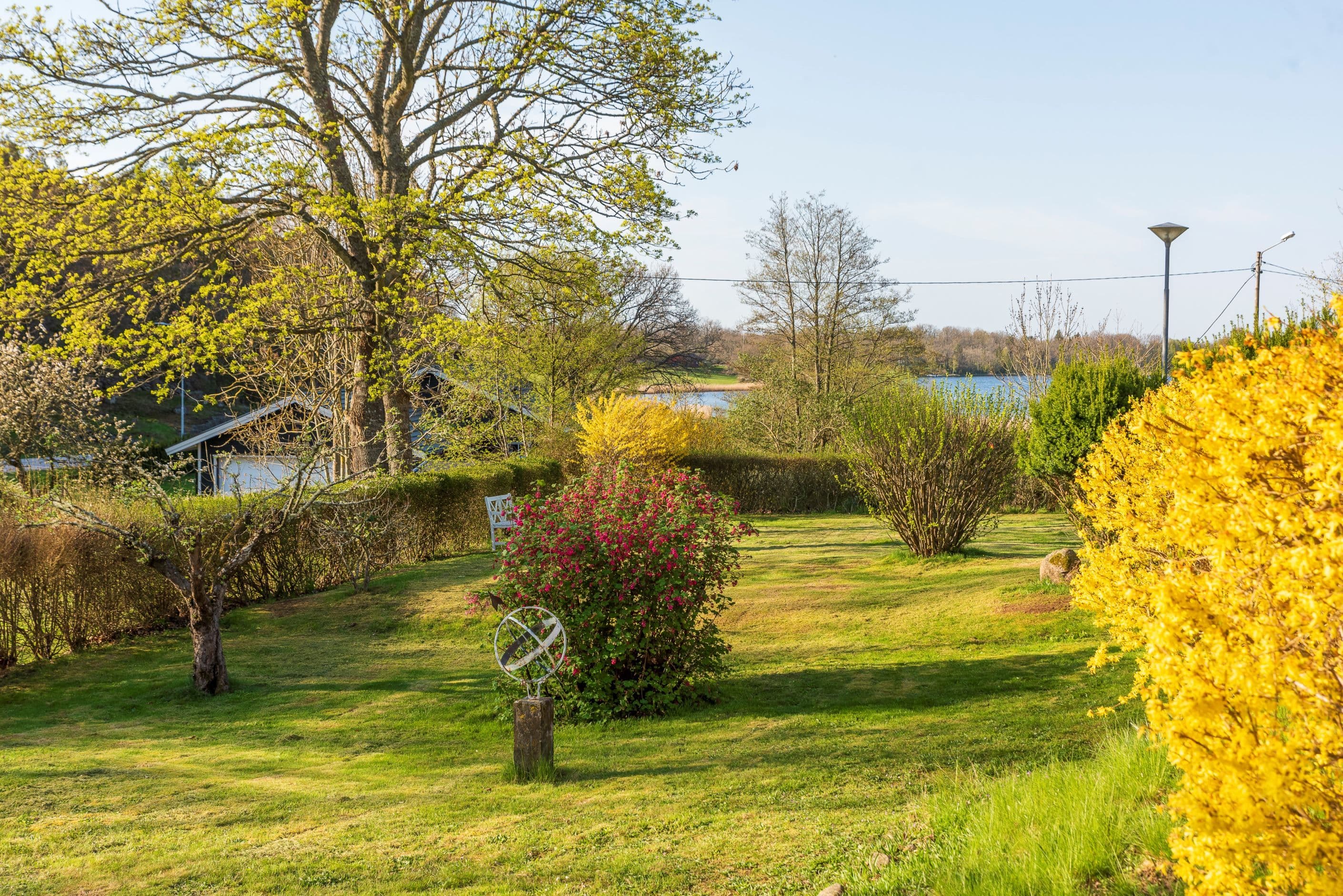 Trädgård