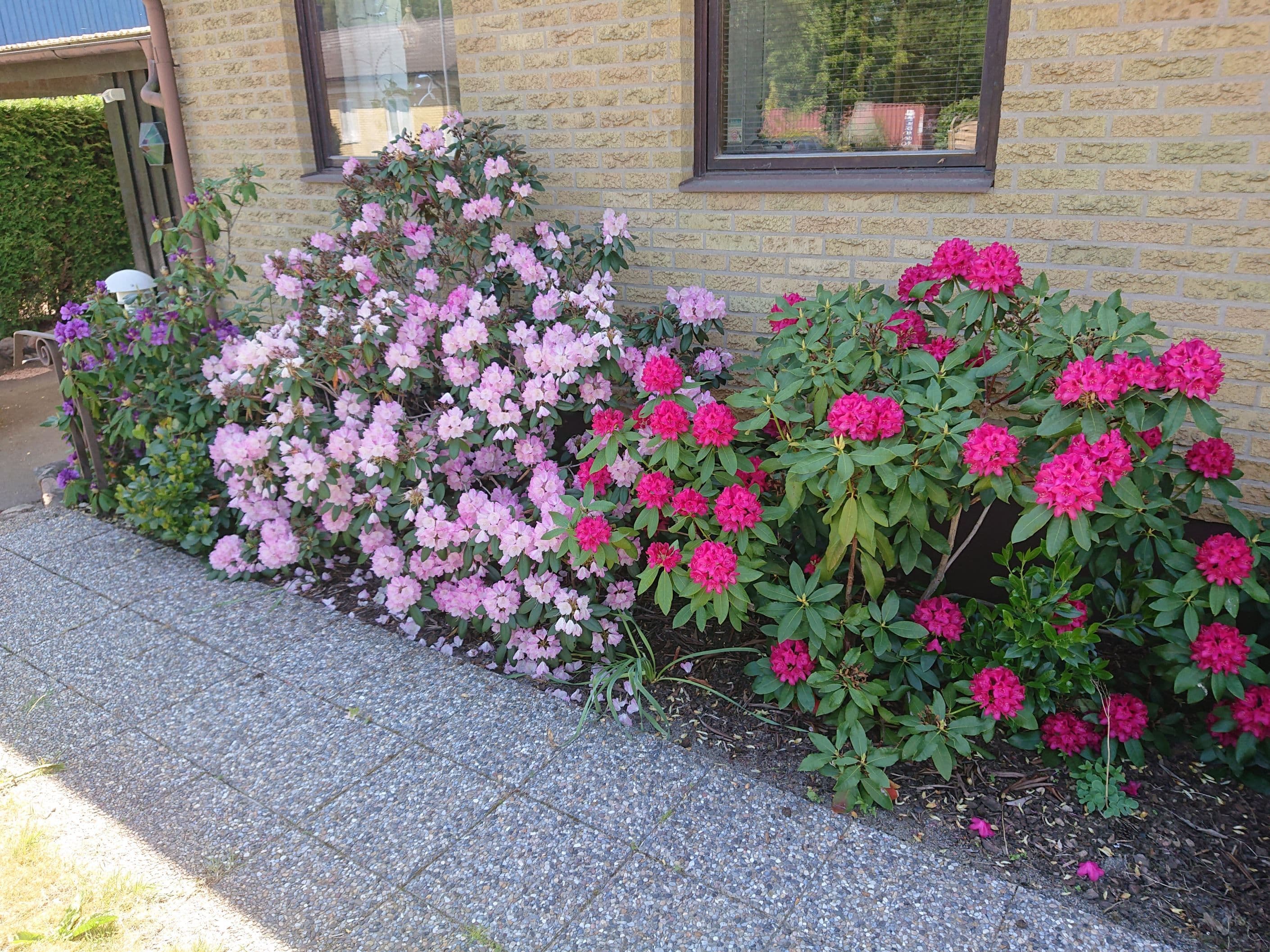 Bild från säljaren.