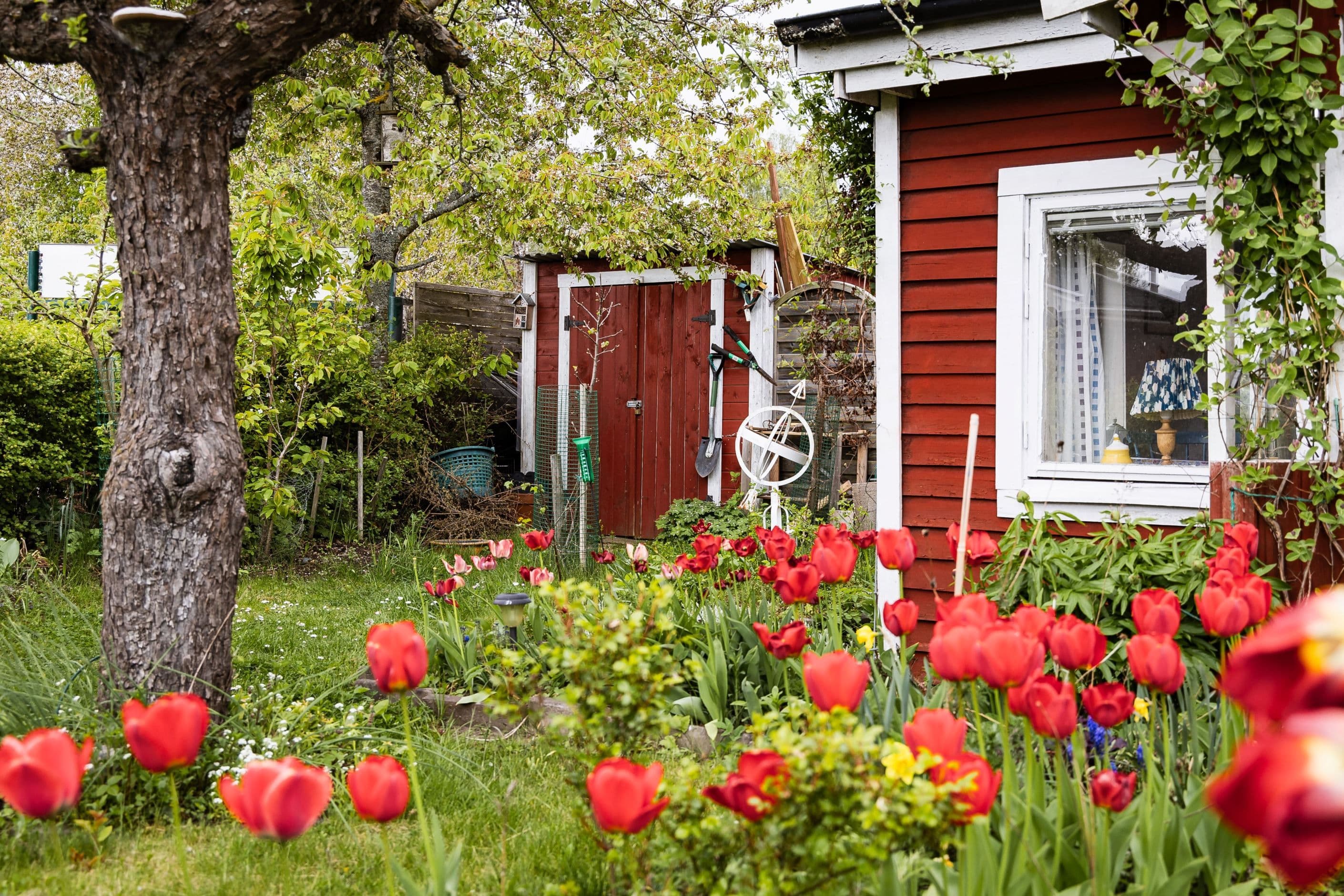 Områdesbild
