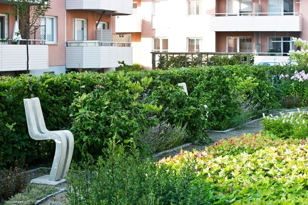 Härlig grönska och grillplats på innergården