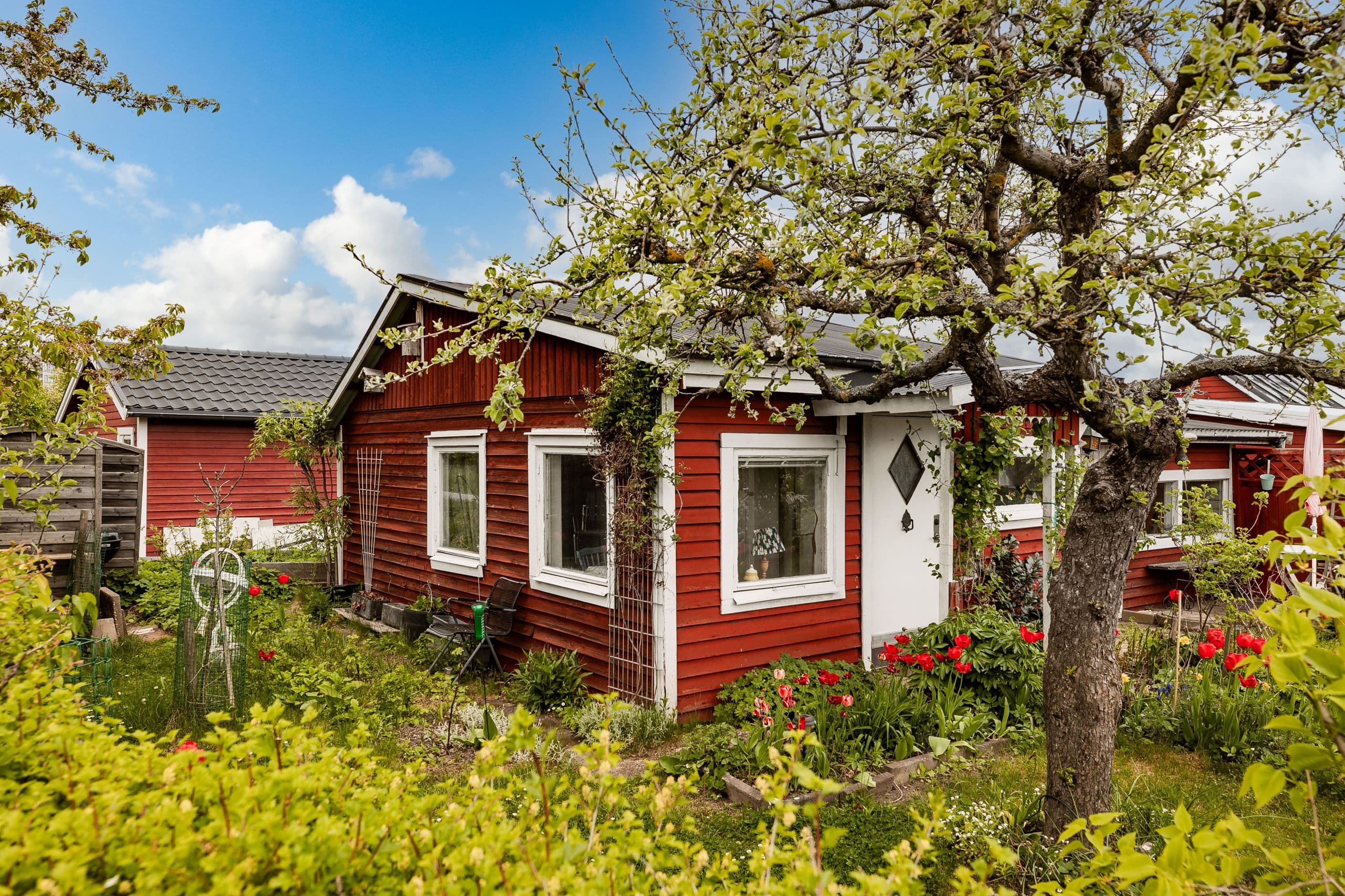 Områdesbild