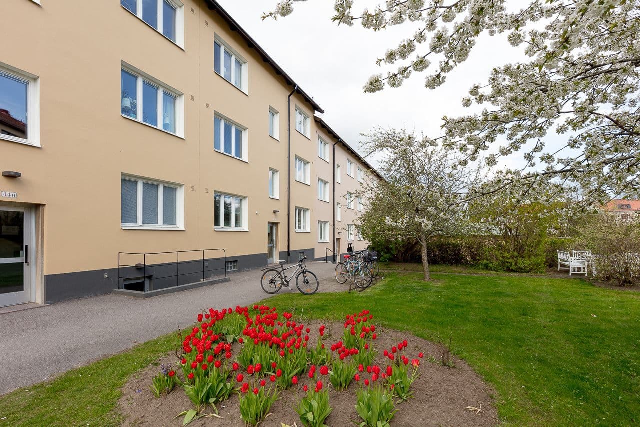 Föreningens innergård