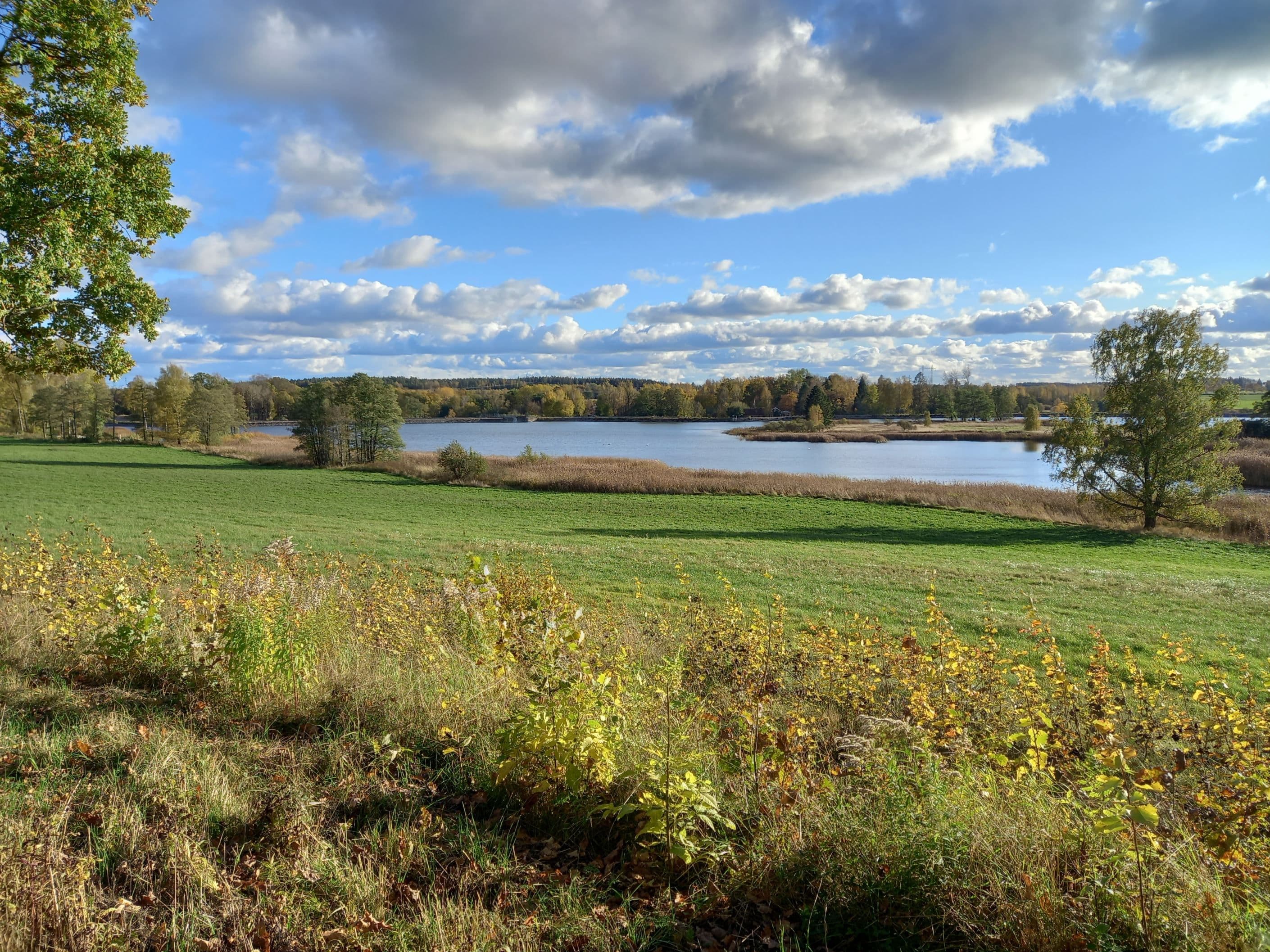 Omgivningen