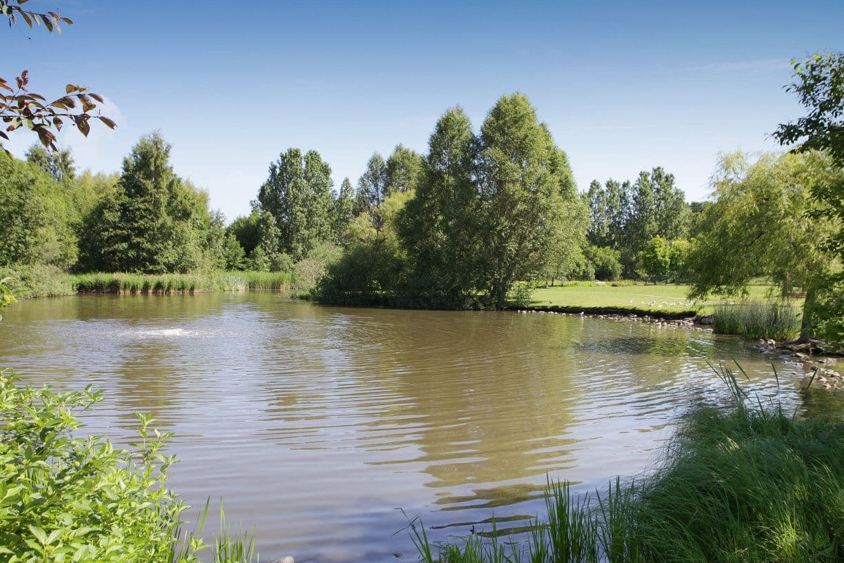 Kallhällsparken