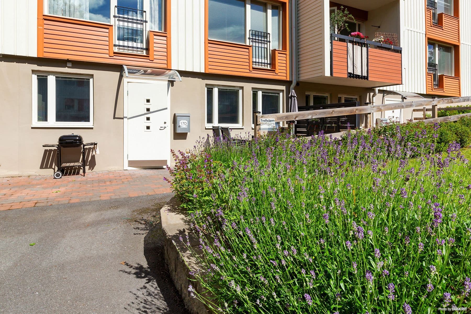 Grönskande rabatter med lavendel i direkt anslutning till uteplatsen