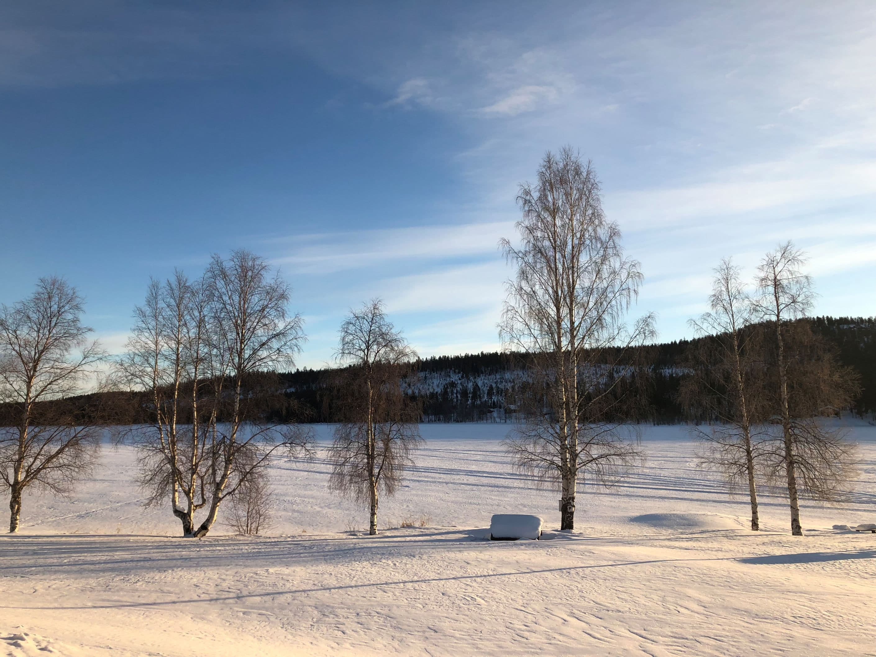 Säljarens egna bild