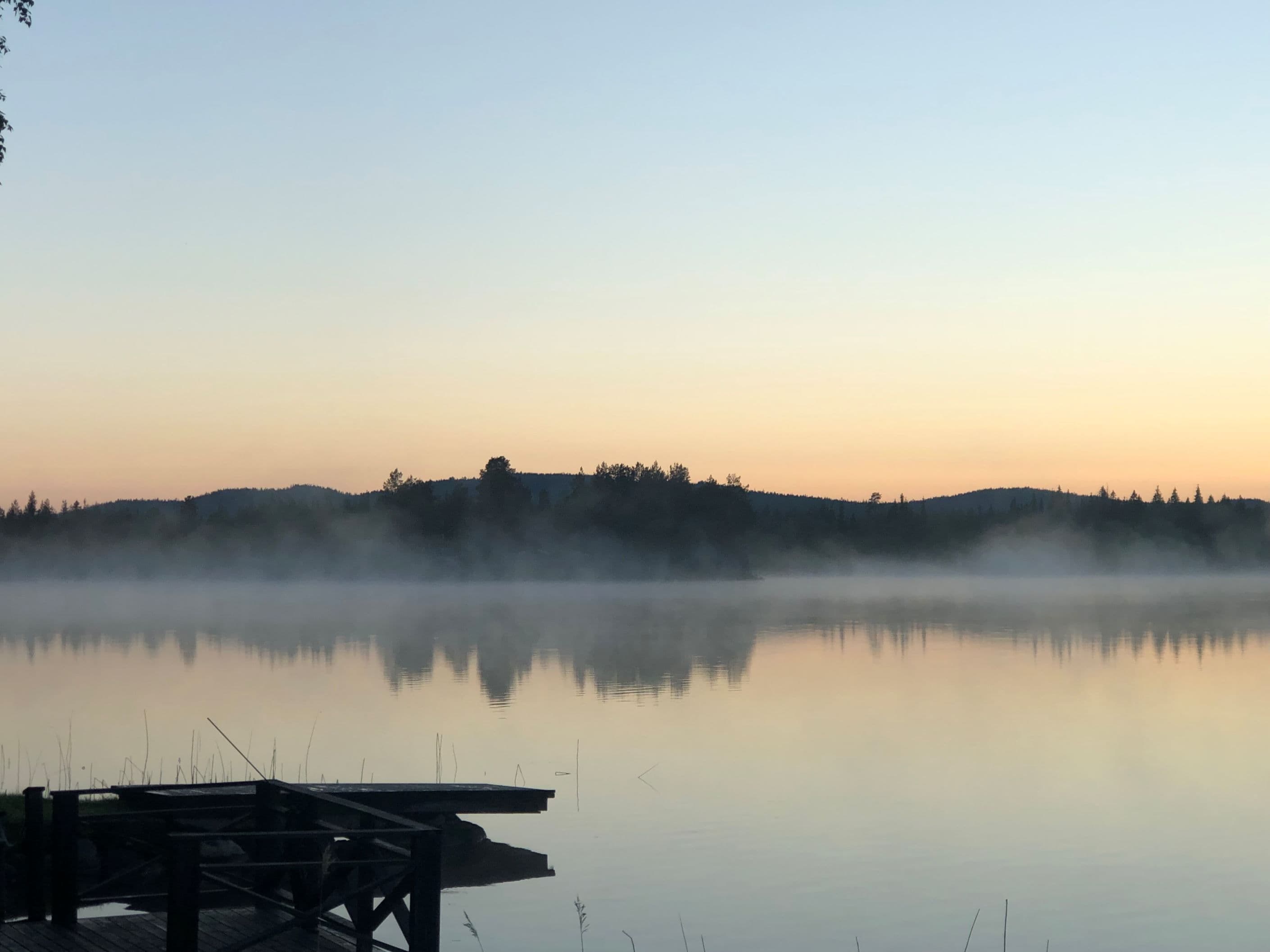 Säljaren egna bild
