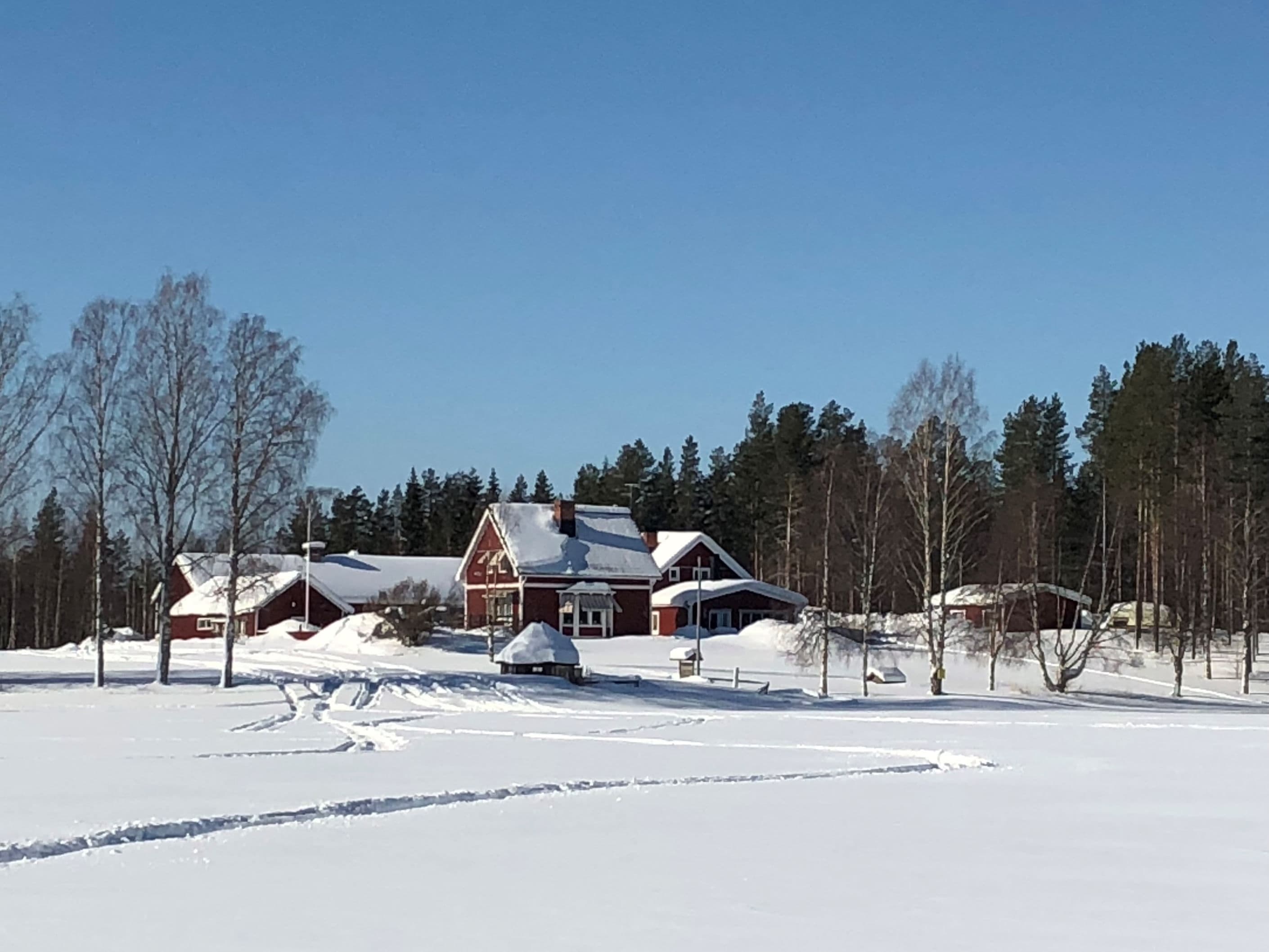 Säljarens egna bild