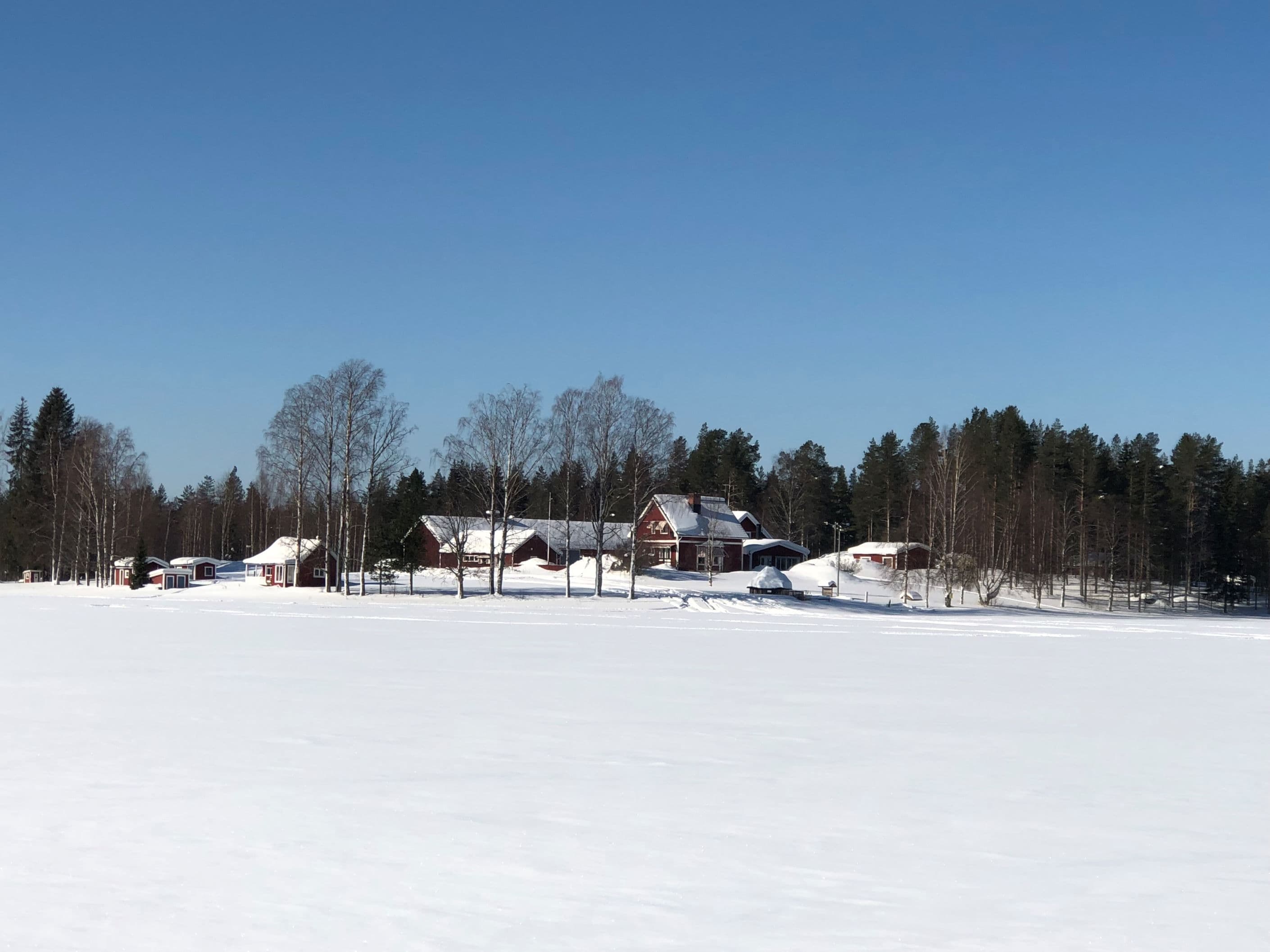 Säljarens egna bild