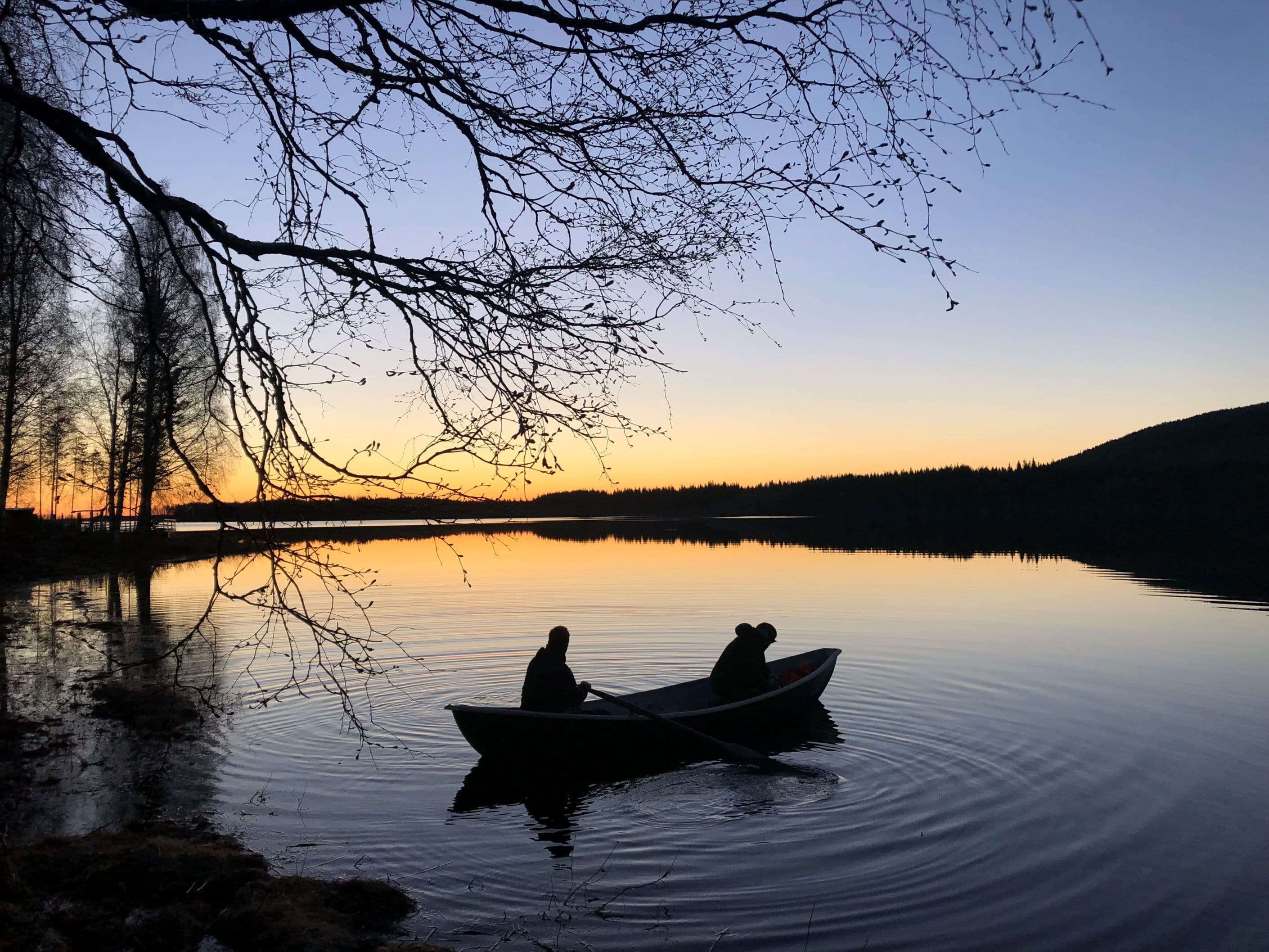 Säljarens egna bild