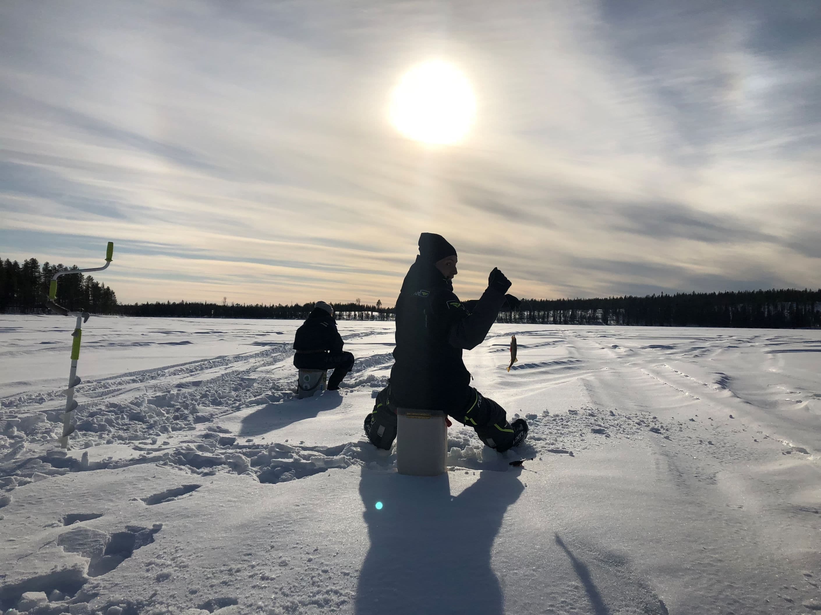 Säljarens egna bild
