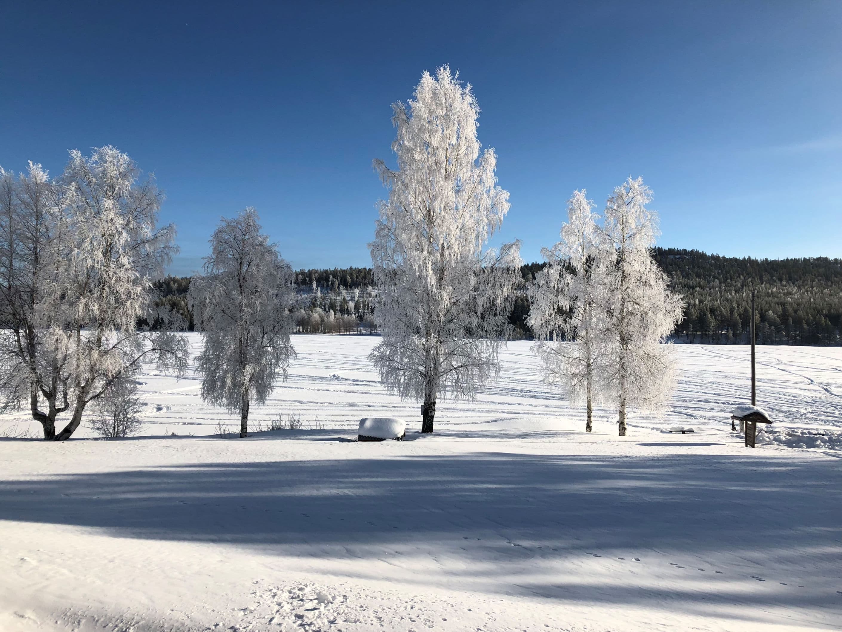 Säljarens egna bild