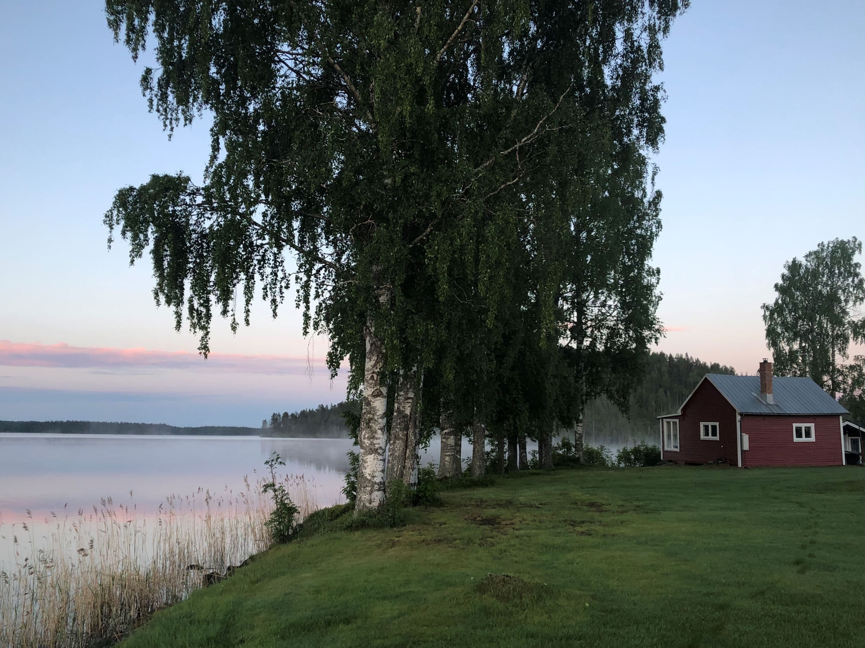 Säljarens egna bild