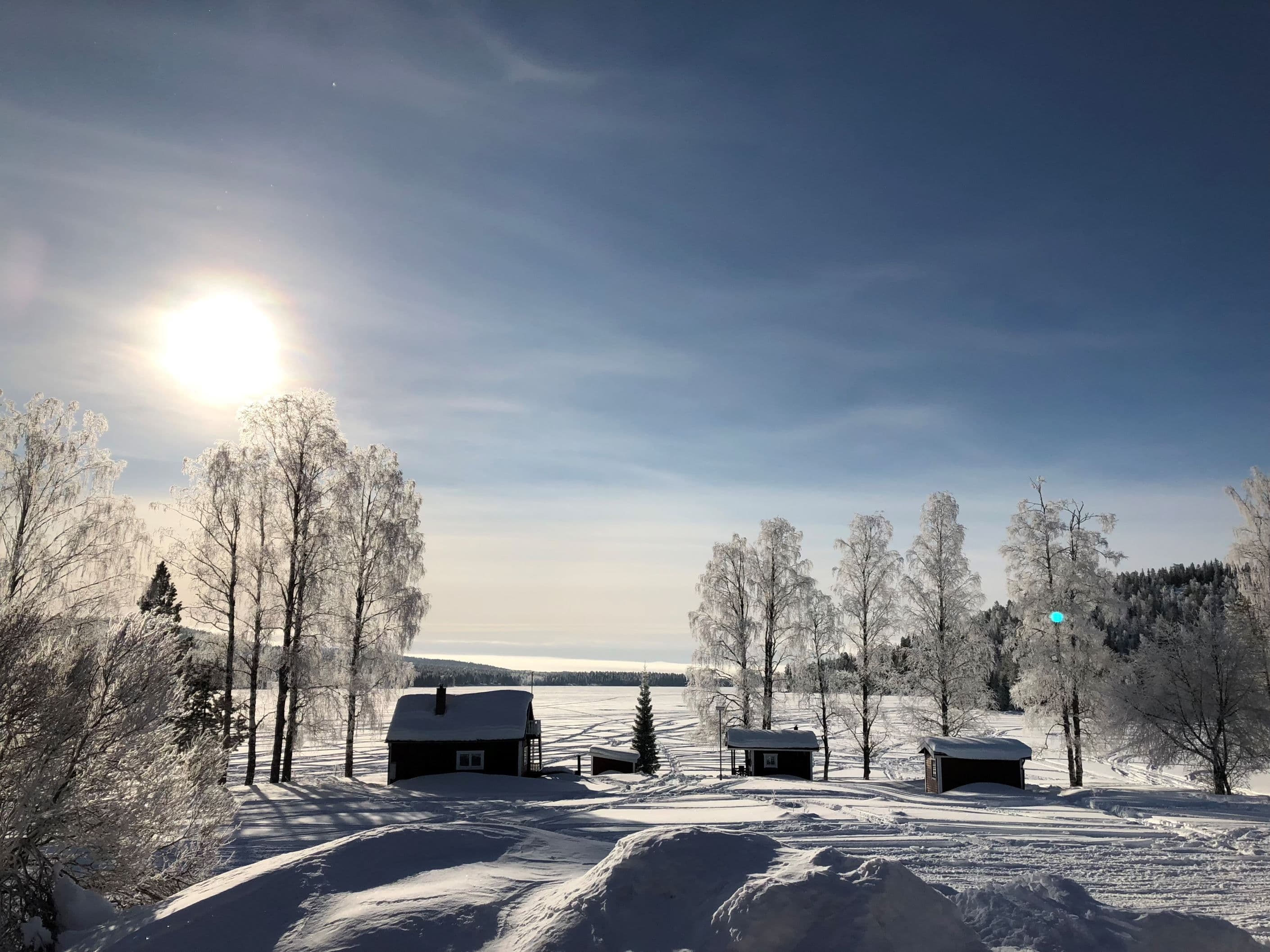 Säljarens egna bild