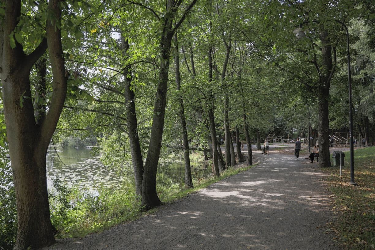 Närhet till grönskande Årstaviken