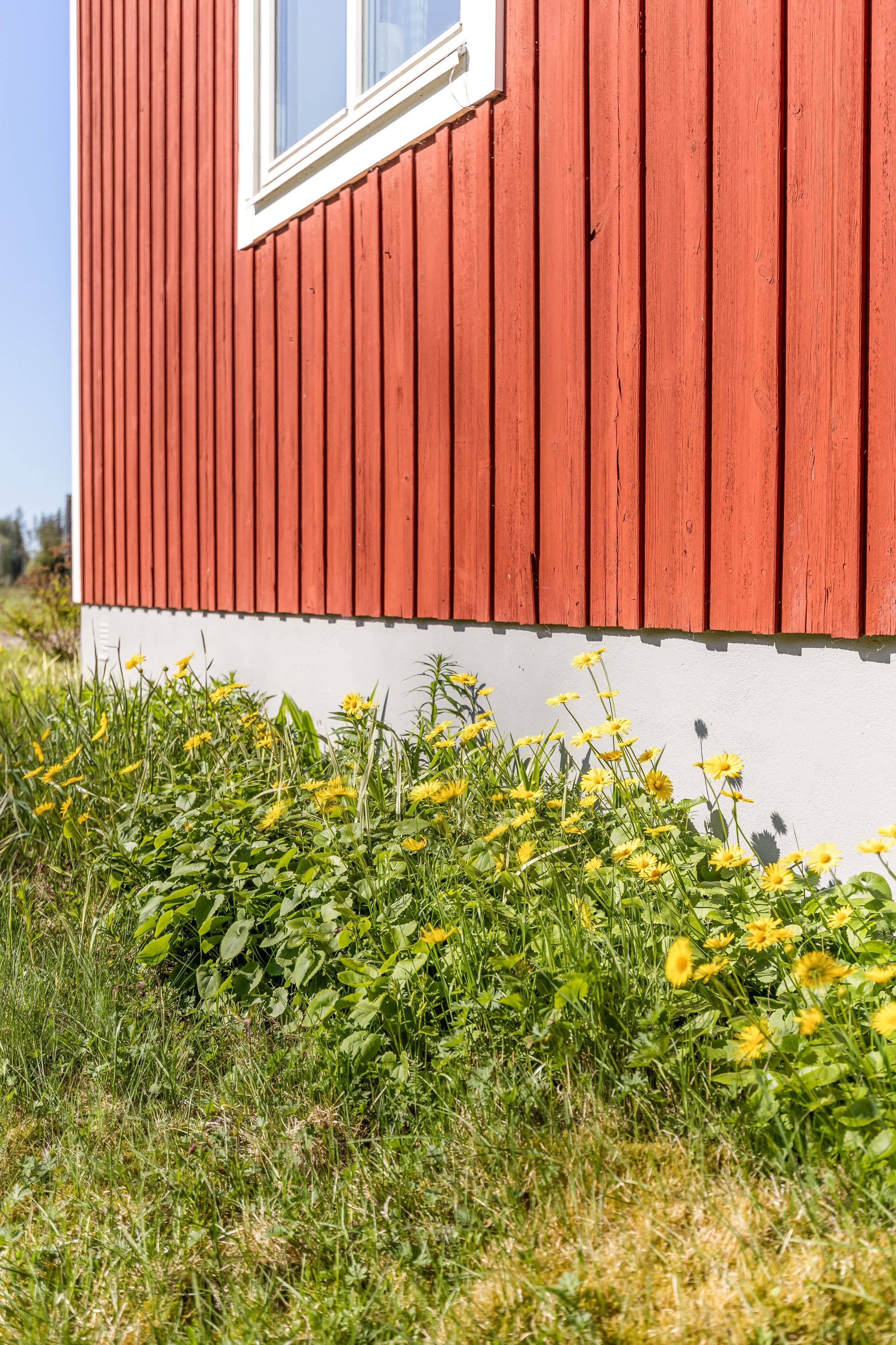 Områdesbild