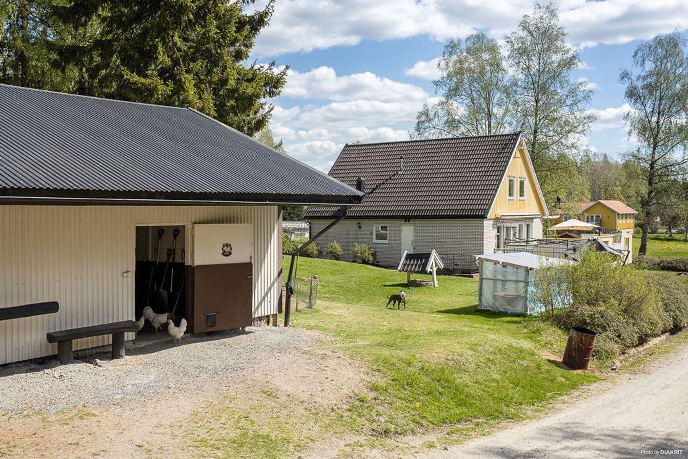 Jämnakulla 503