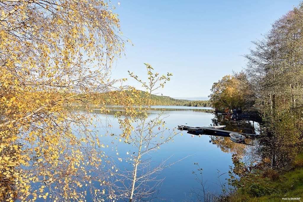 Gingsjön