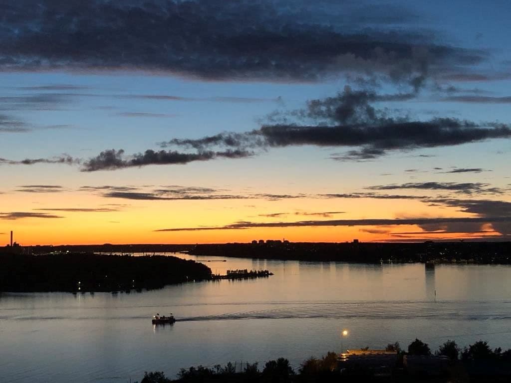 Säljaren bild
