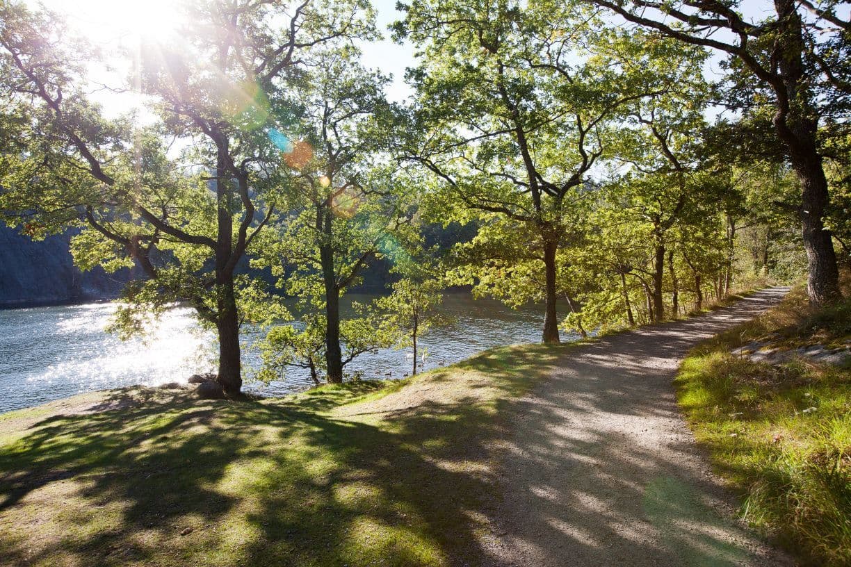 Naturreservatet Nyckelviken ligger nära