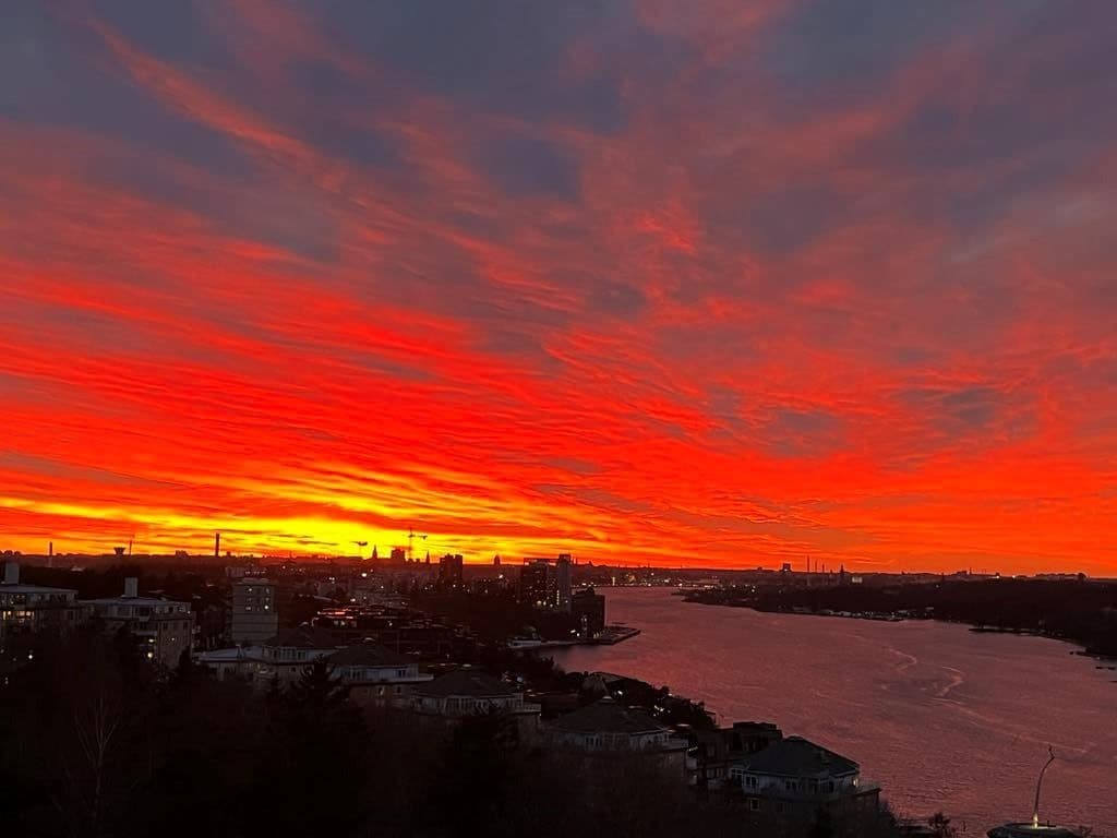 Säljaren bild